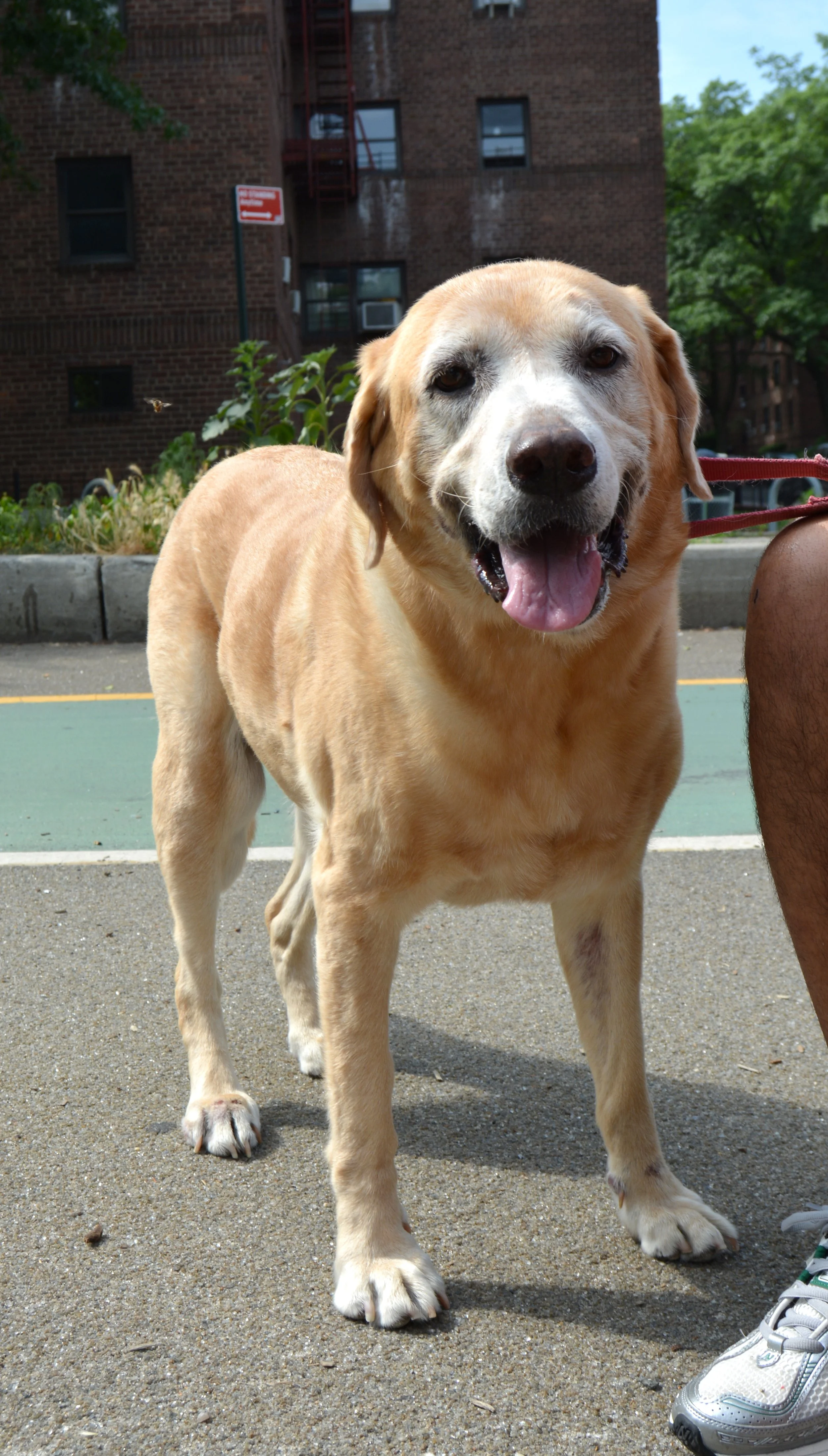 Copy of DSC_0186.JPG