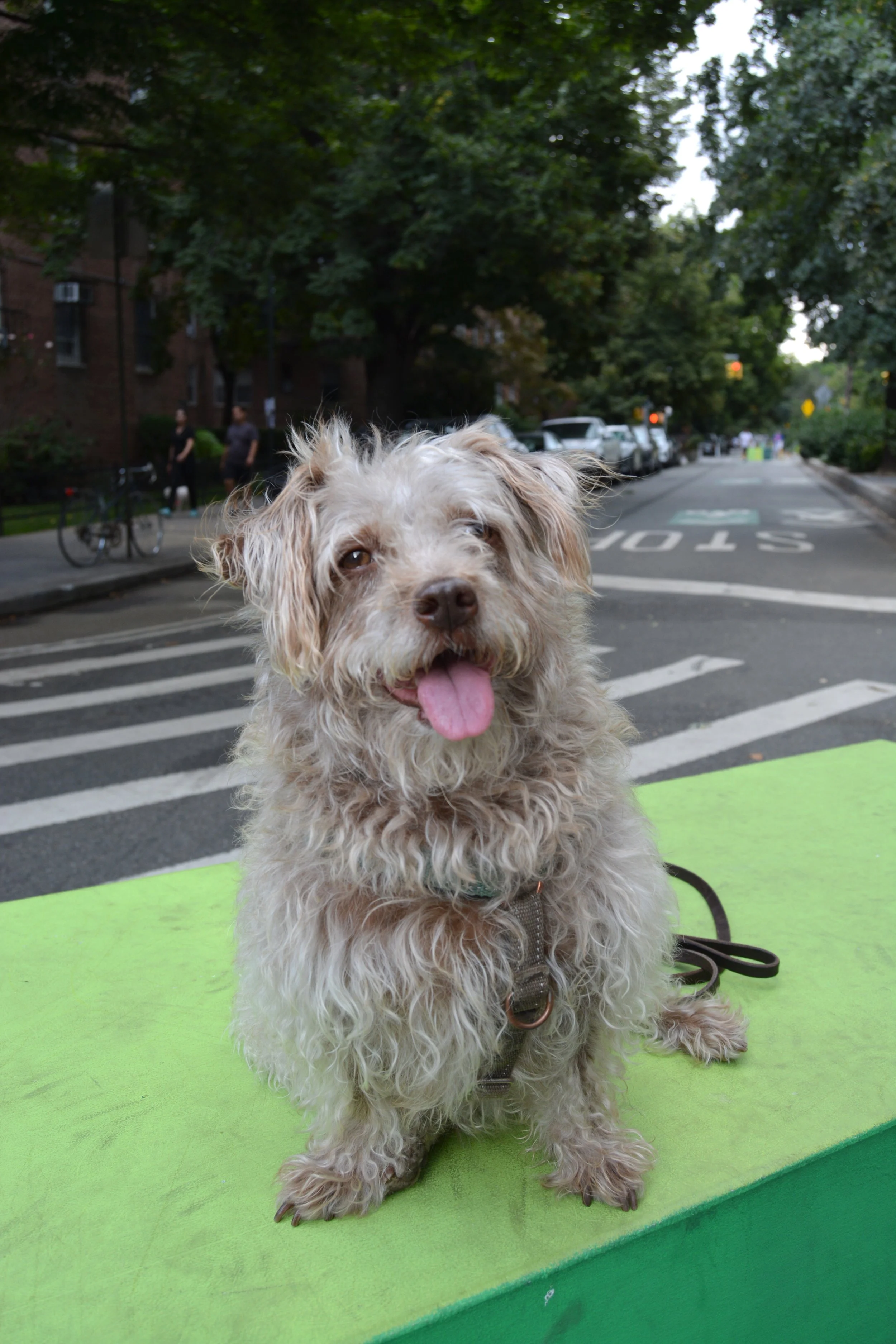 Copy of DSC_1973.JPG