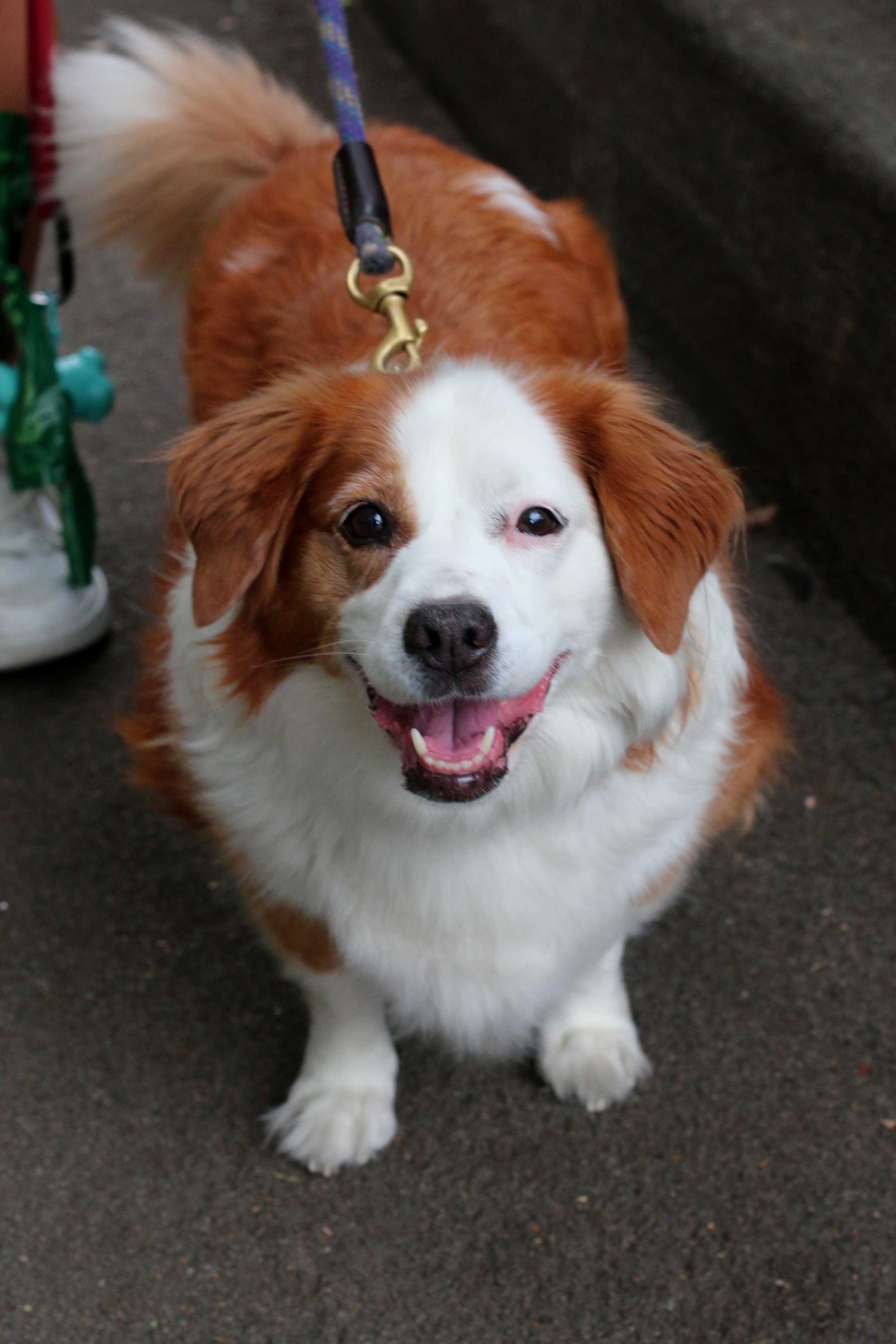 Copy of IMG_2588.JPG