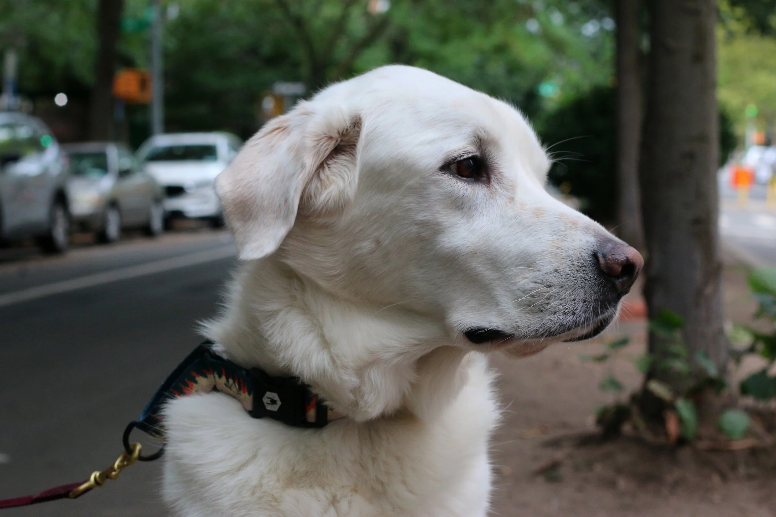 Copy of IMG_2025.JPG