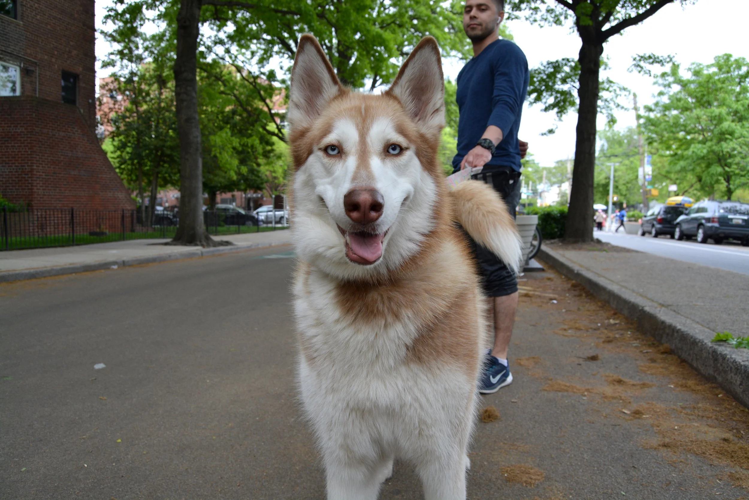 Copy of DSC_0112.JPG