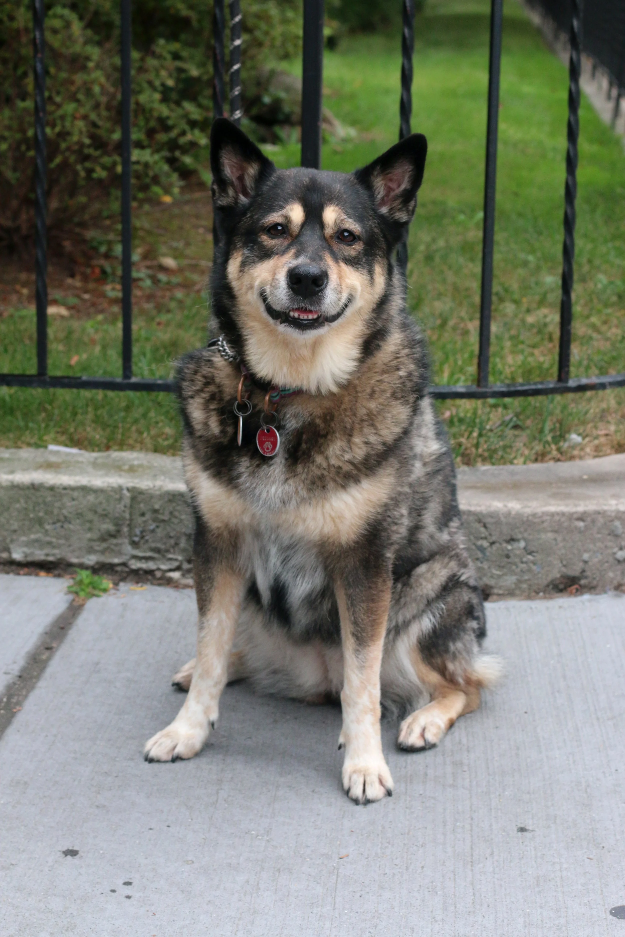 Copy of IMG_2303.JPG