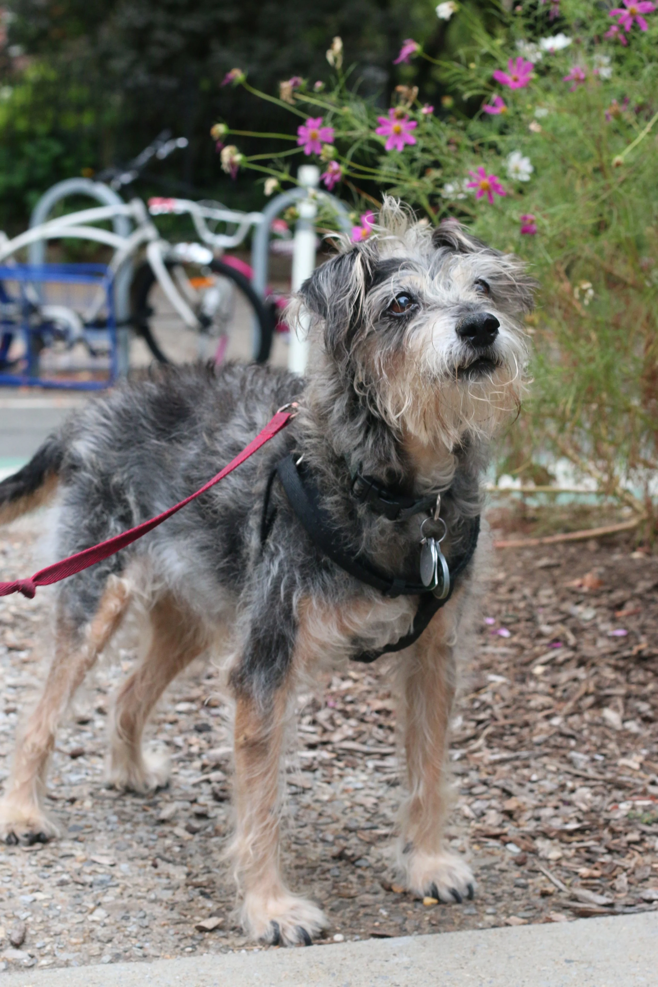 Copy of IMG_2169.JPG