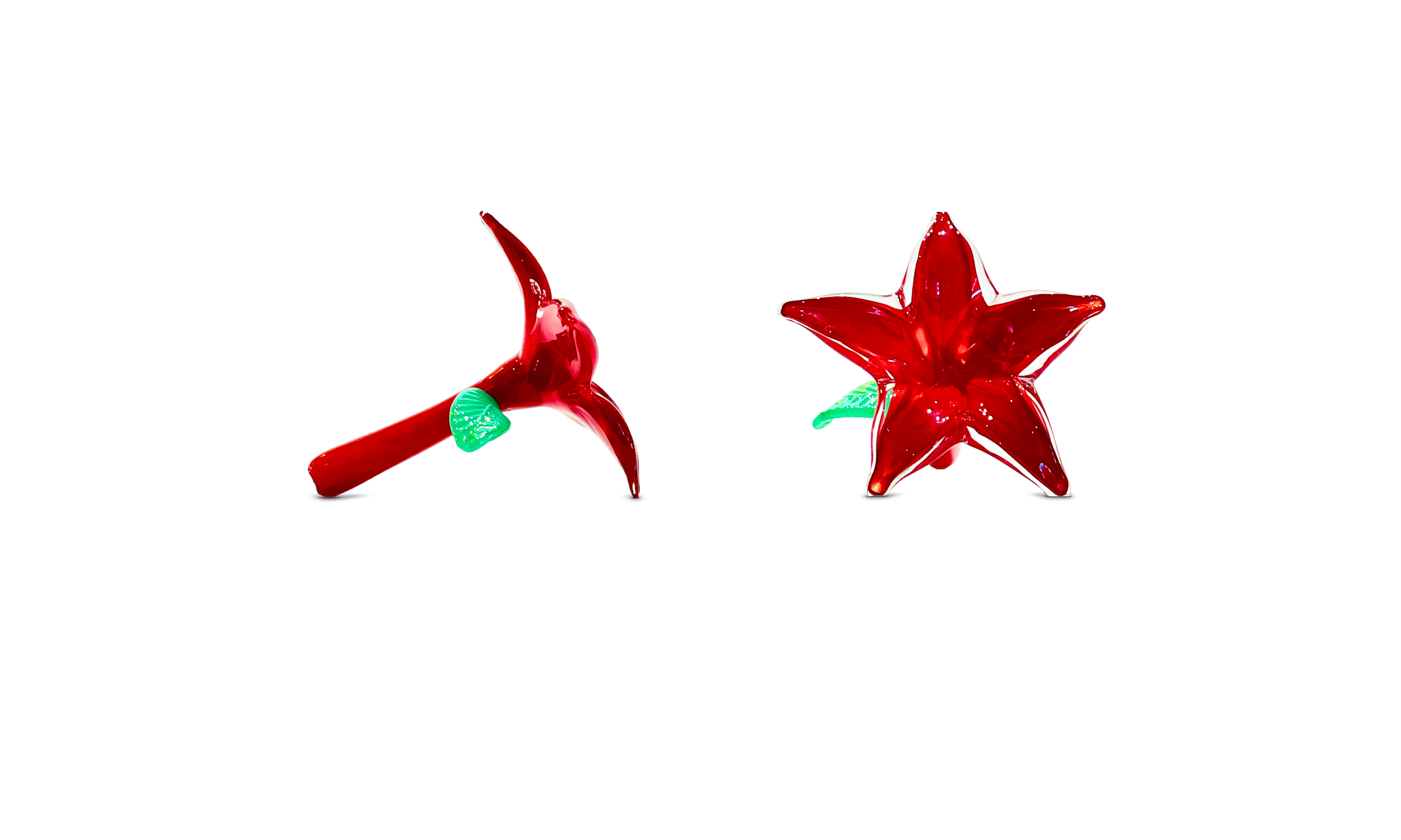 poinsettia (brighten up).png