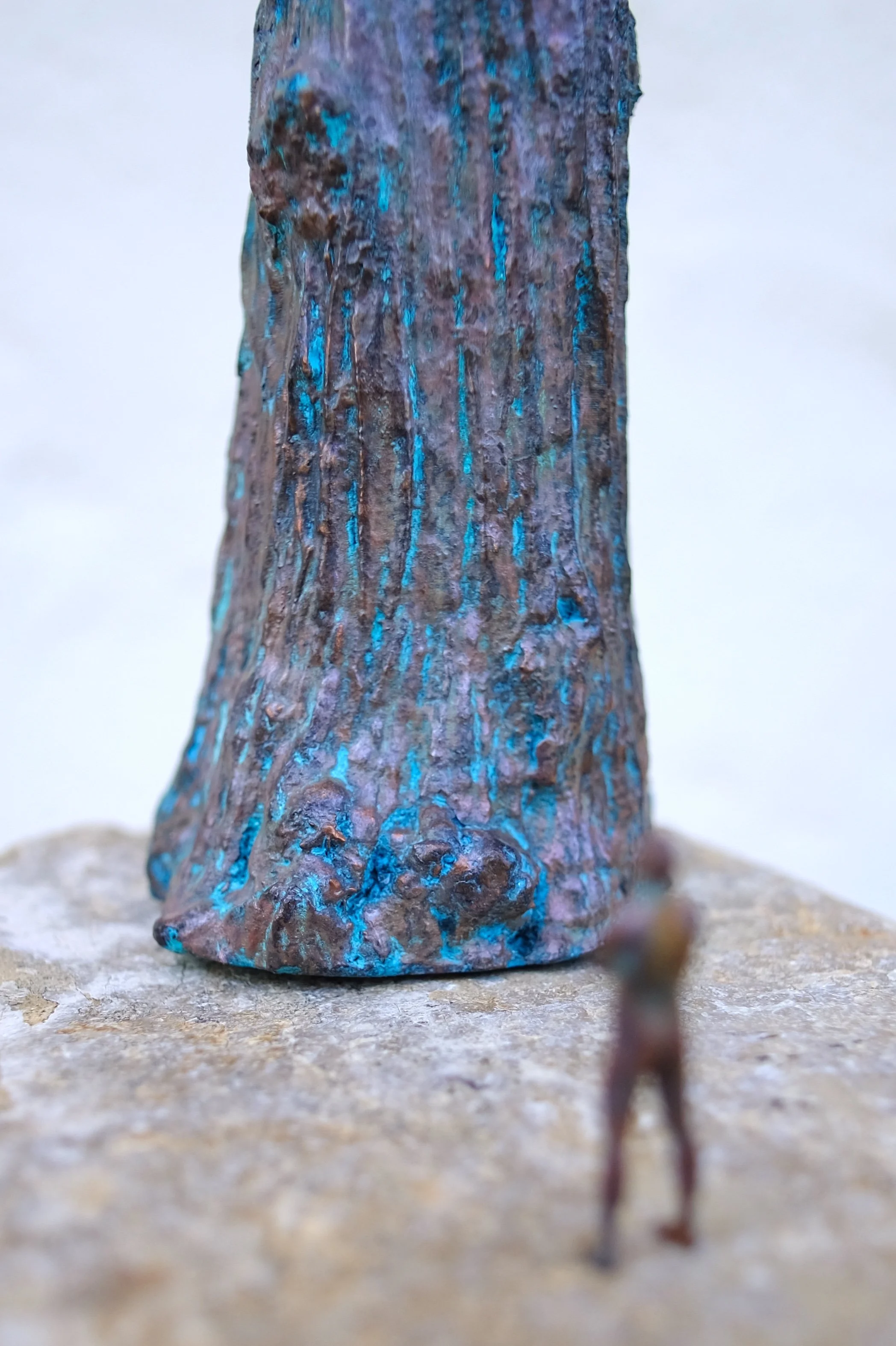 Kevin_Perrault_Tree_001_3 - Kevin Perrault.JPG