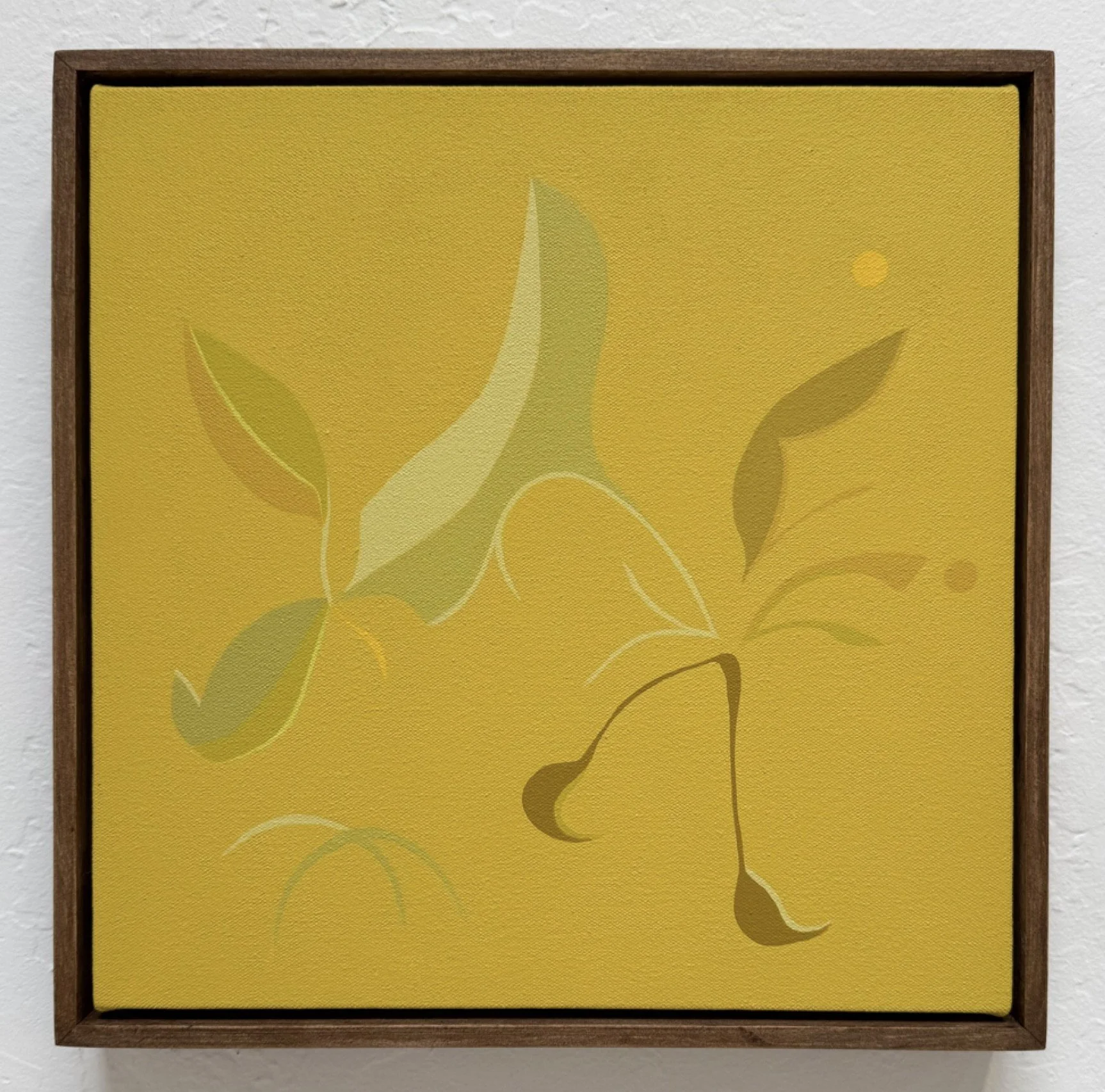 Amanda_Reeves_Magic tricks - Amanda Reeves.jpg