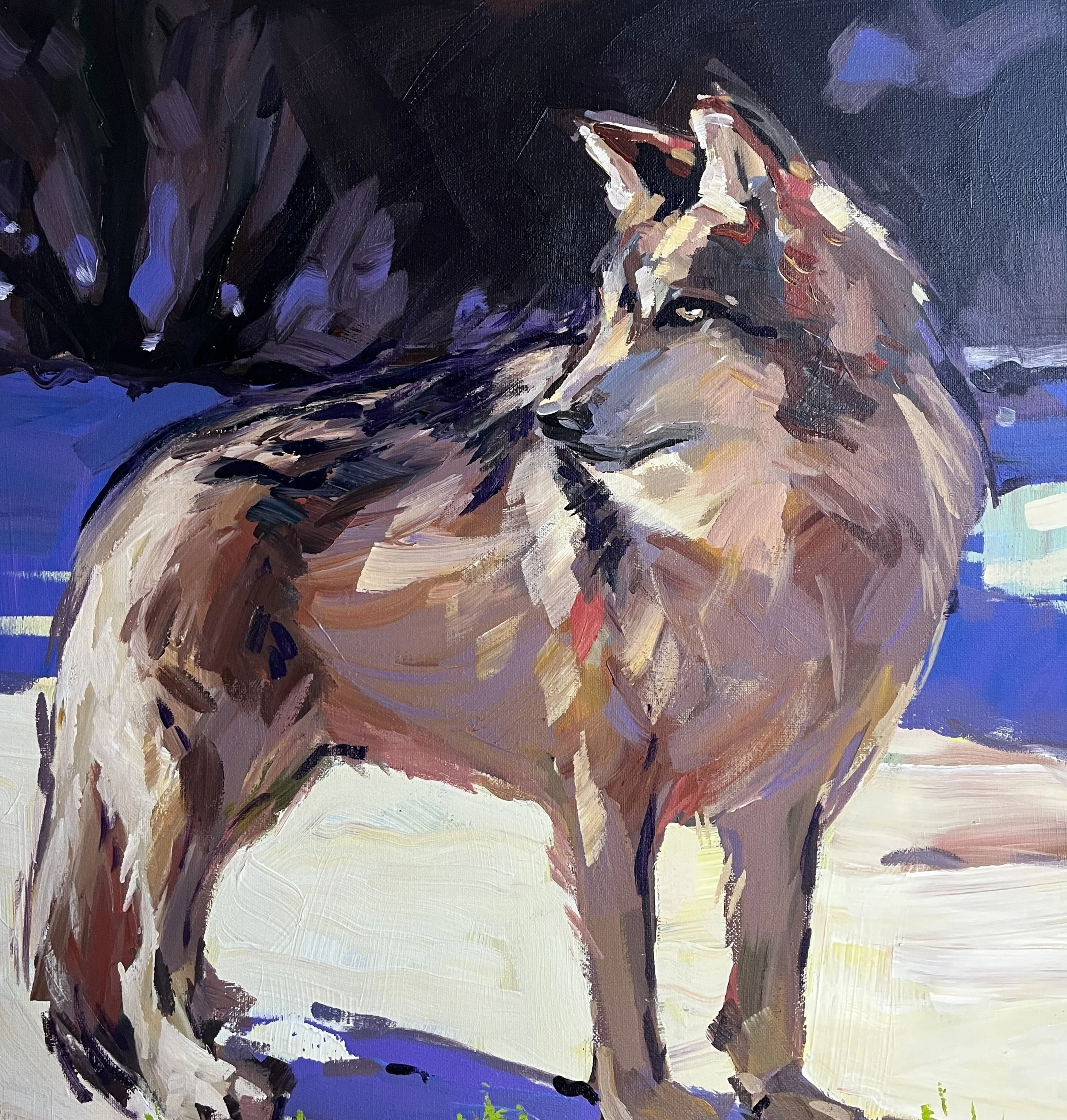 Laura Green, Wolf in the Snow, acrylic on canvas, 20x20x2 in., $1600