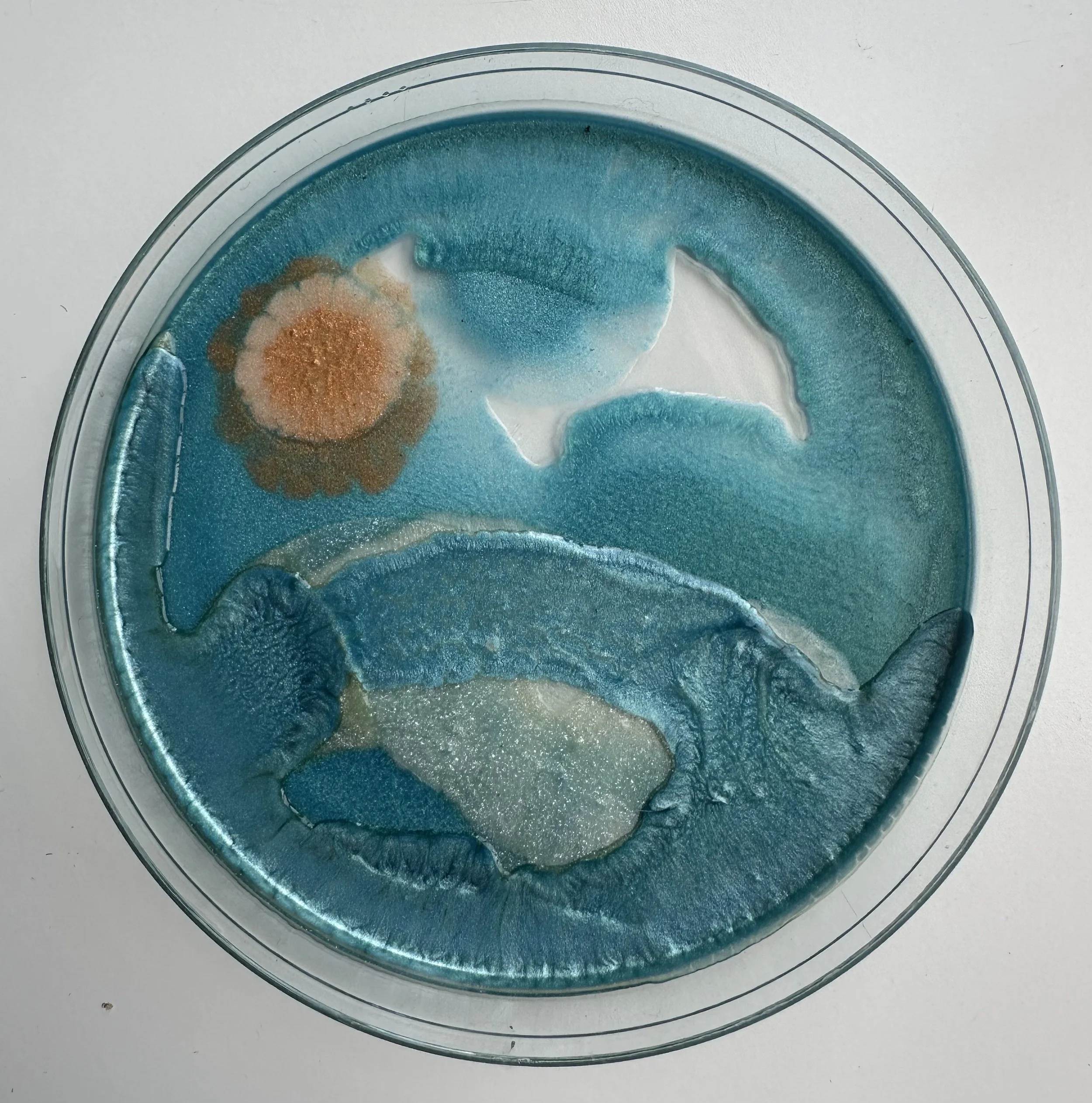 SARAH_ROSE_KELLEY_CARMELBYTHESEA - Sarah Rose Kelley.jpeg