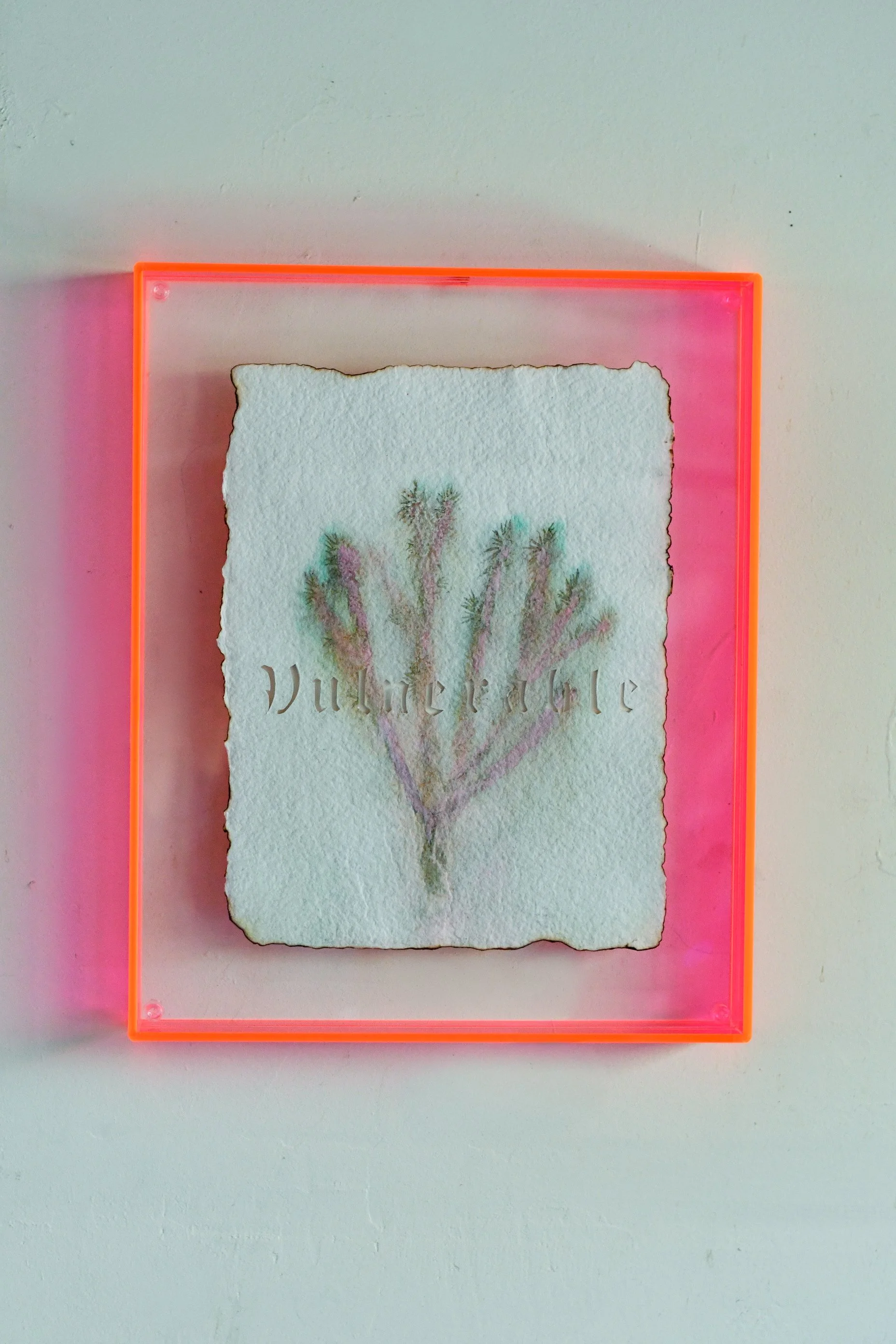 Tricia_BuchananBenson_Vulnerable - Tricia Benson.JPG