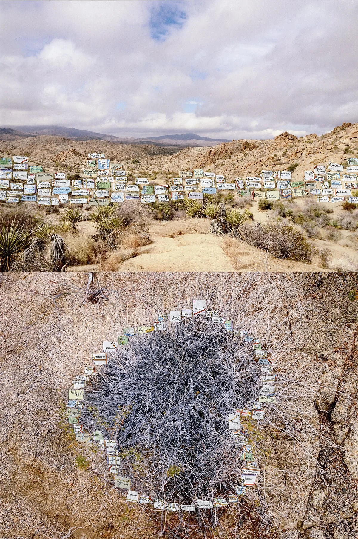 NancyJoHaselbacher_TownTotemDesertWallSpell - Nancy H.jpg