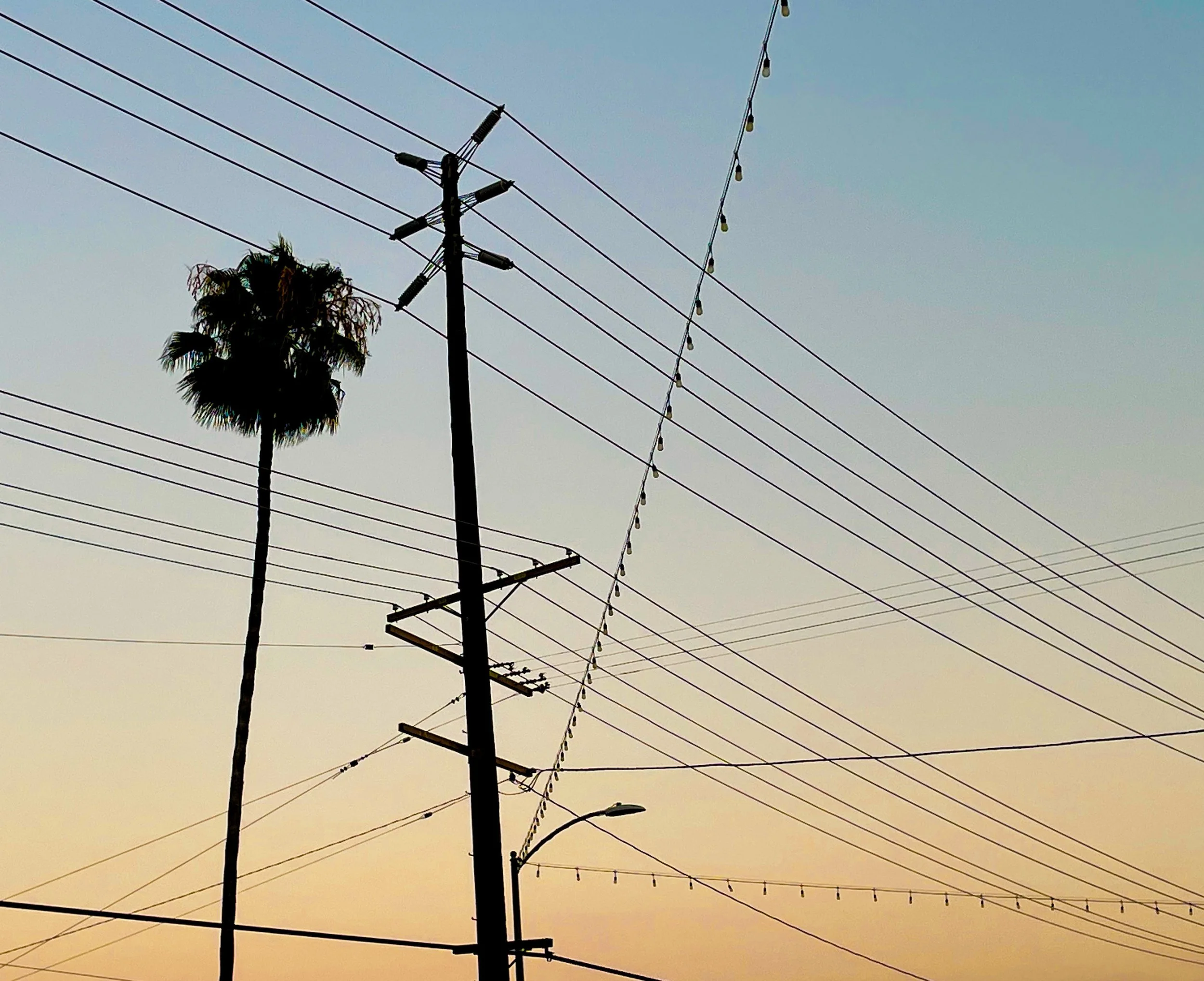 Sarika_Seth_Currents - Sarika _.jpeg