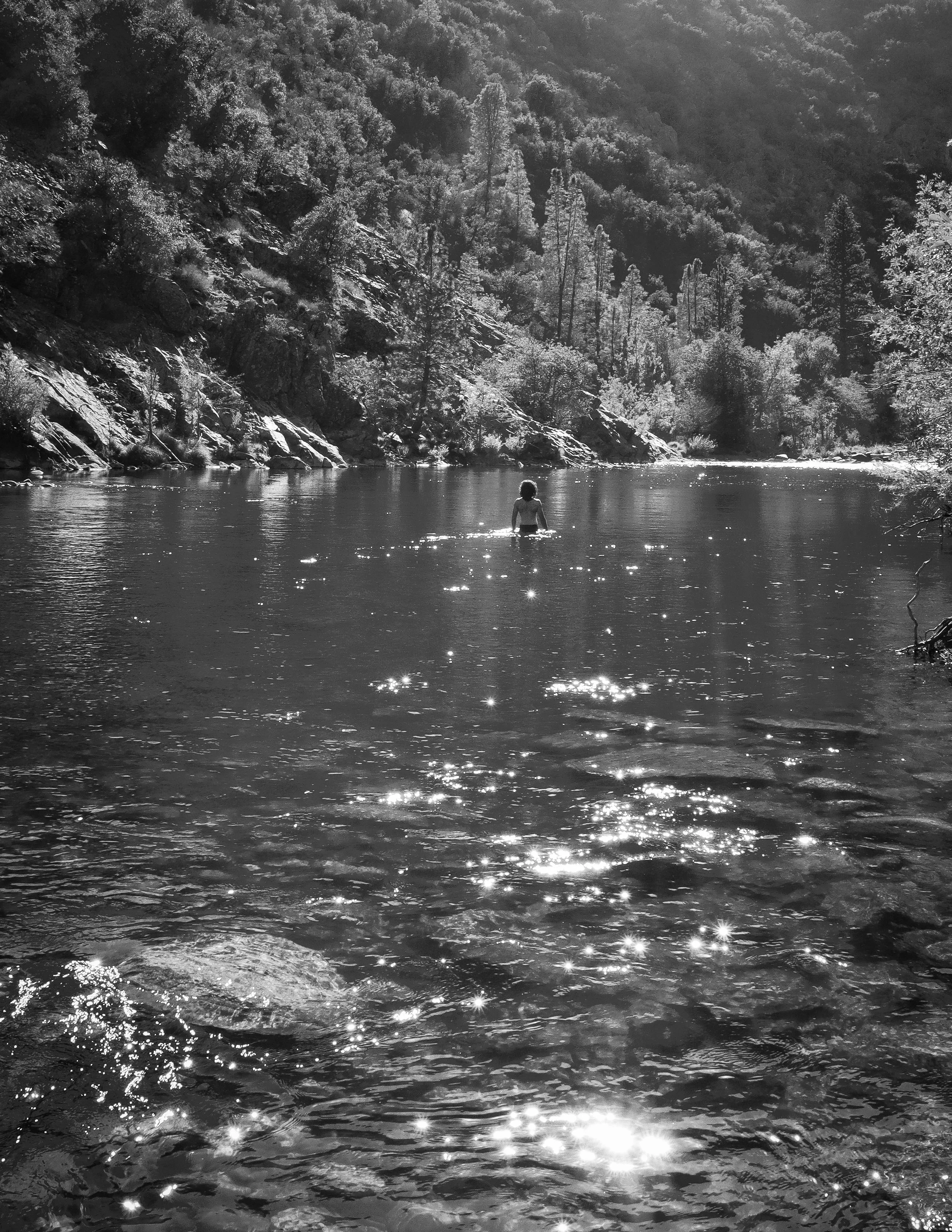 Cynthia Flores, Rebirth, Digital Photography, Framed 11x14 in., $300