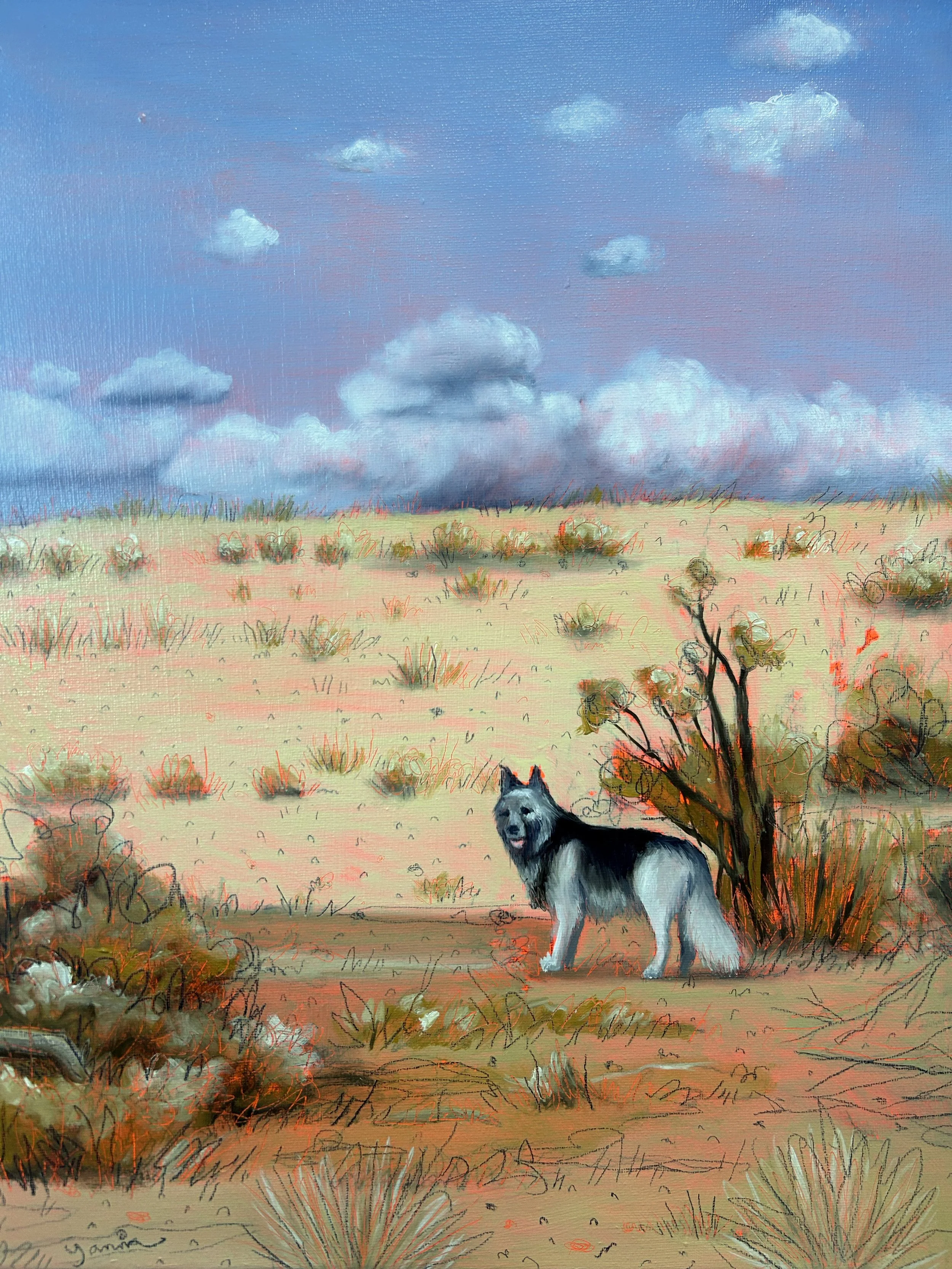 Eclipse in the ICE age.jpg