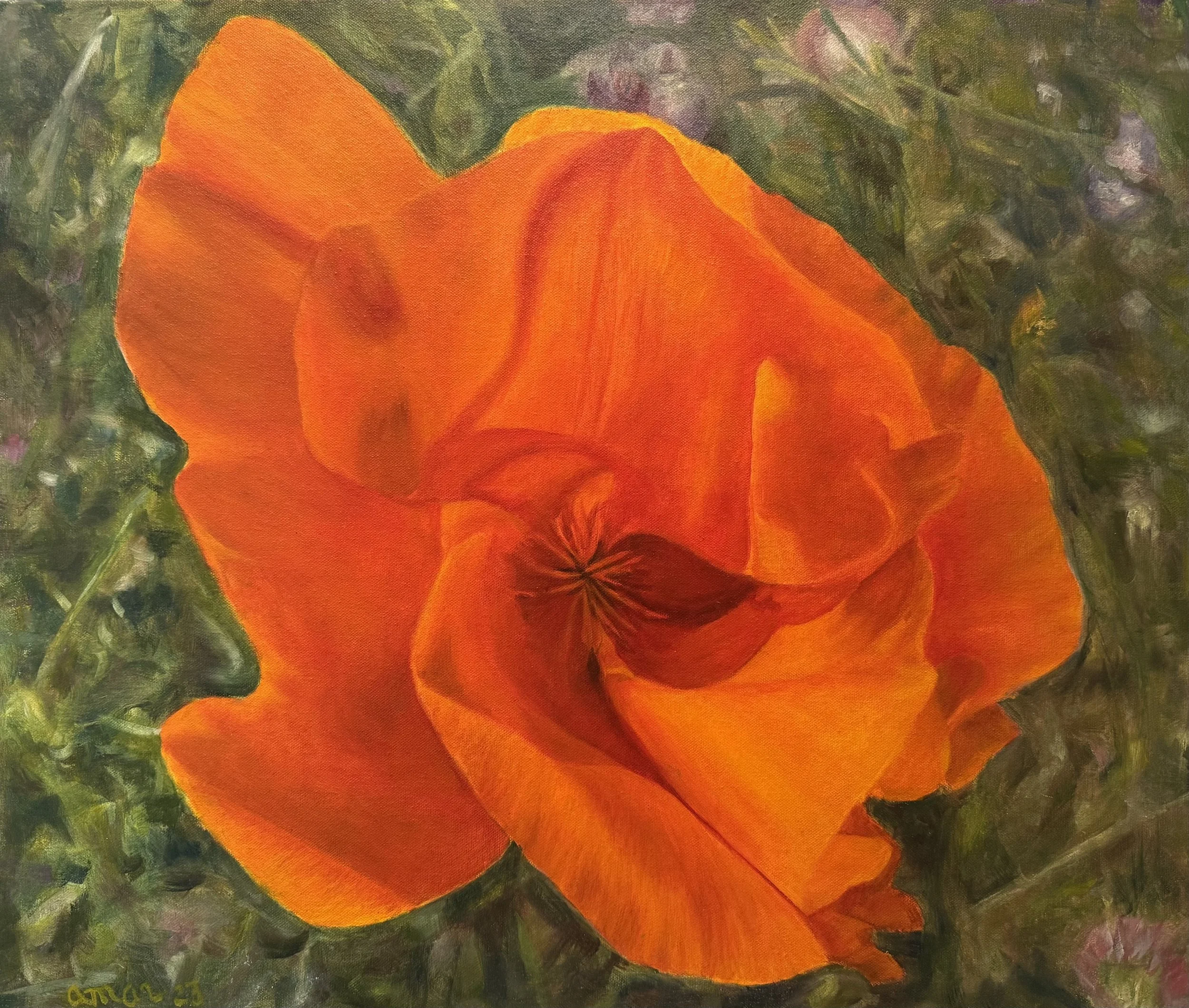 Amy_Armstrong_Californica copy - Amy Armstrong.jpeg