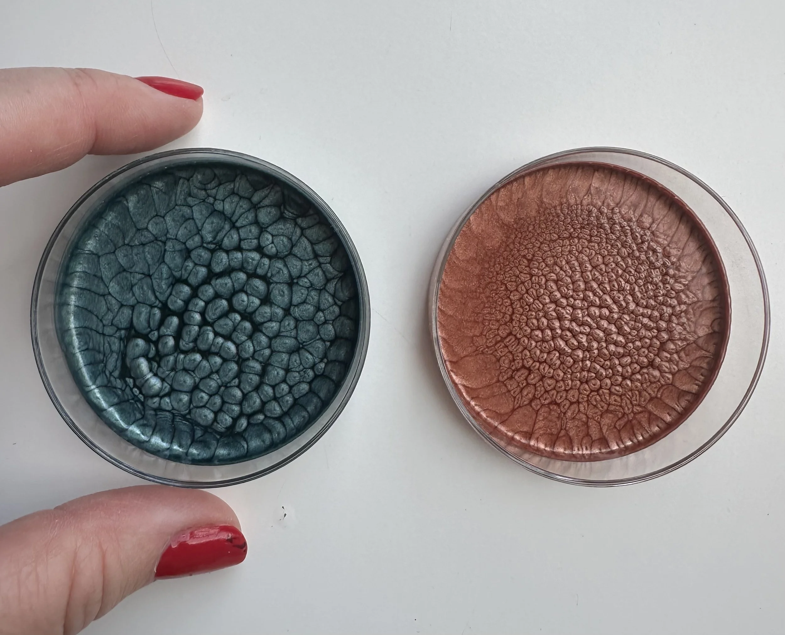 SARAH_ROSE_KELEY_BEEP&BOOP - Sarah Rose Kelley.jpeg