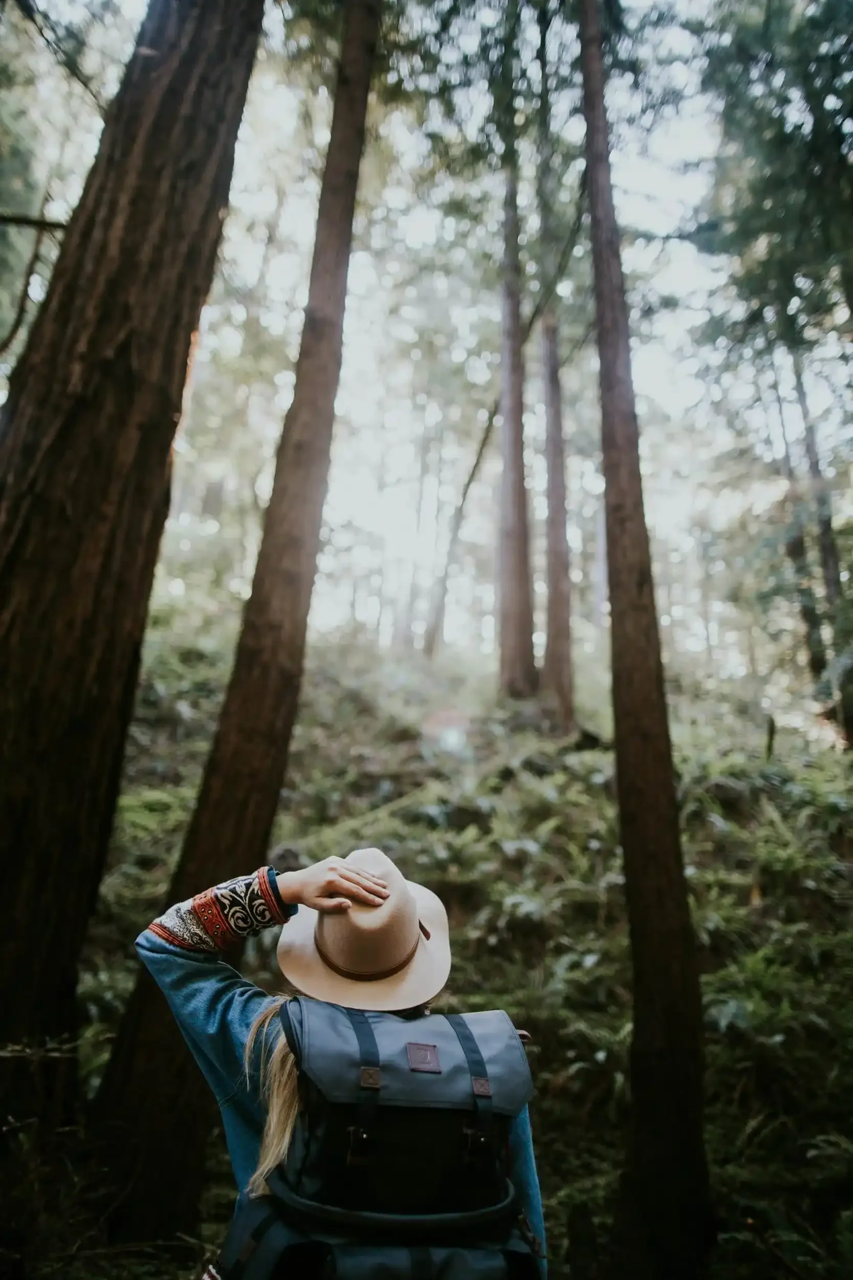 The Healing power of nature therapy