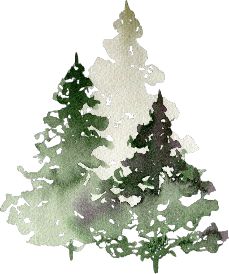 Watercolor illustration of several pine trees overlapping, painted in varying shades of green and light brown, with a textured, artistic style on a white background.