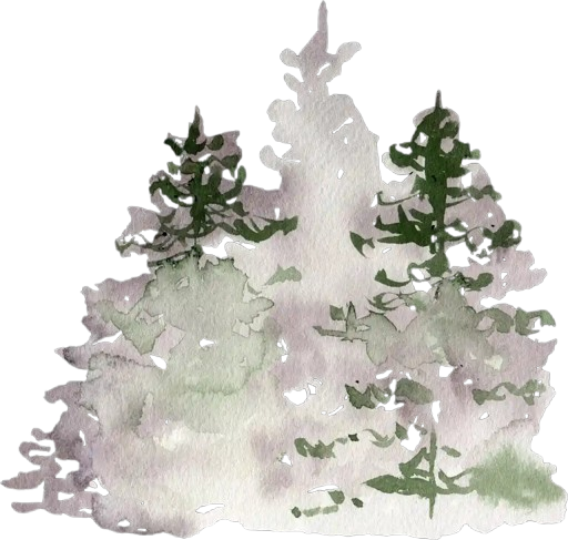 Watercolor painting of three pine trees in a snowy landscape