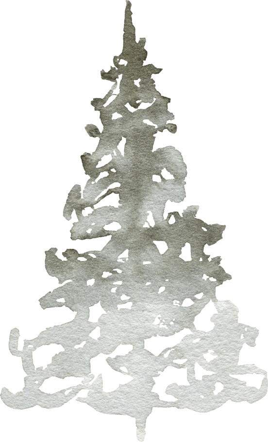 Watercolor painting of a pine tree with soft, faded shades of gray and white, featuring loose brushstrokes and a minimalist, abstract style.