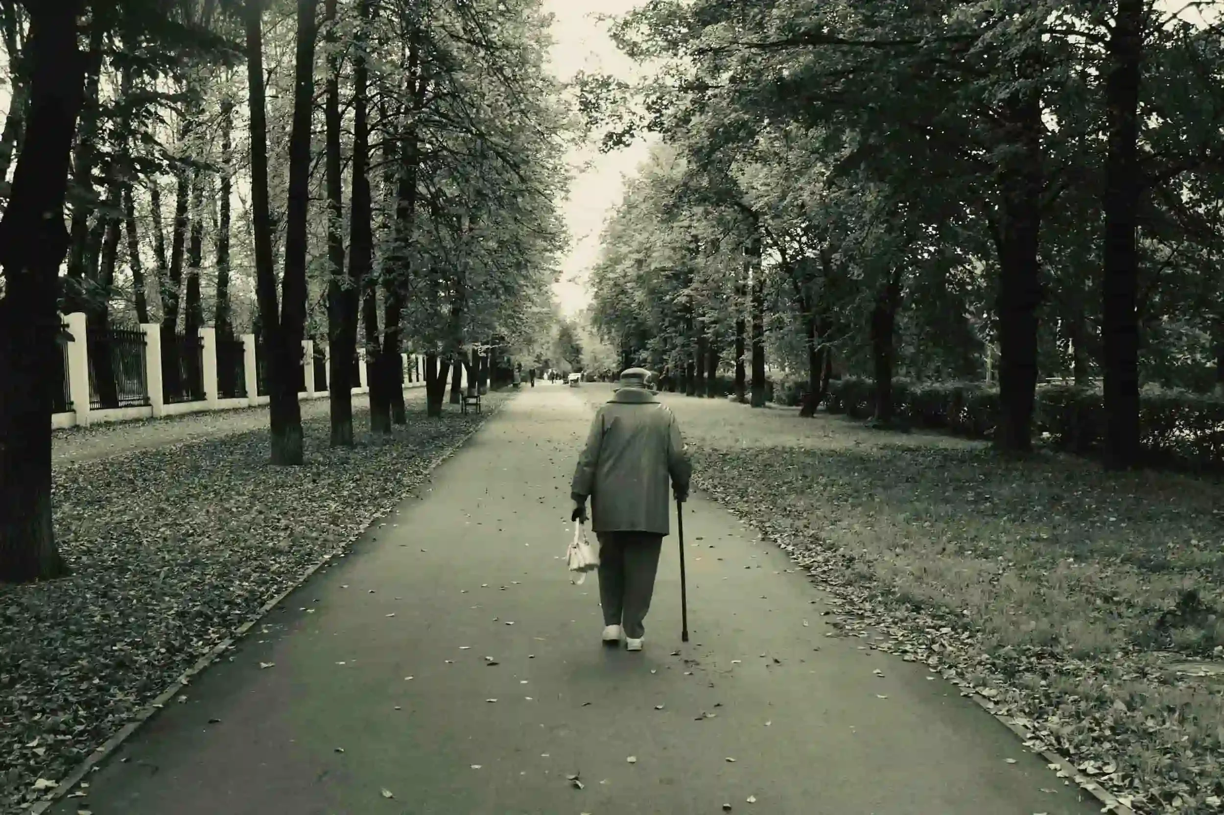 An elderly person walks alone down a tree-lined path with a cane and a bag, surrounded by fallen leaves.
