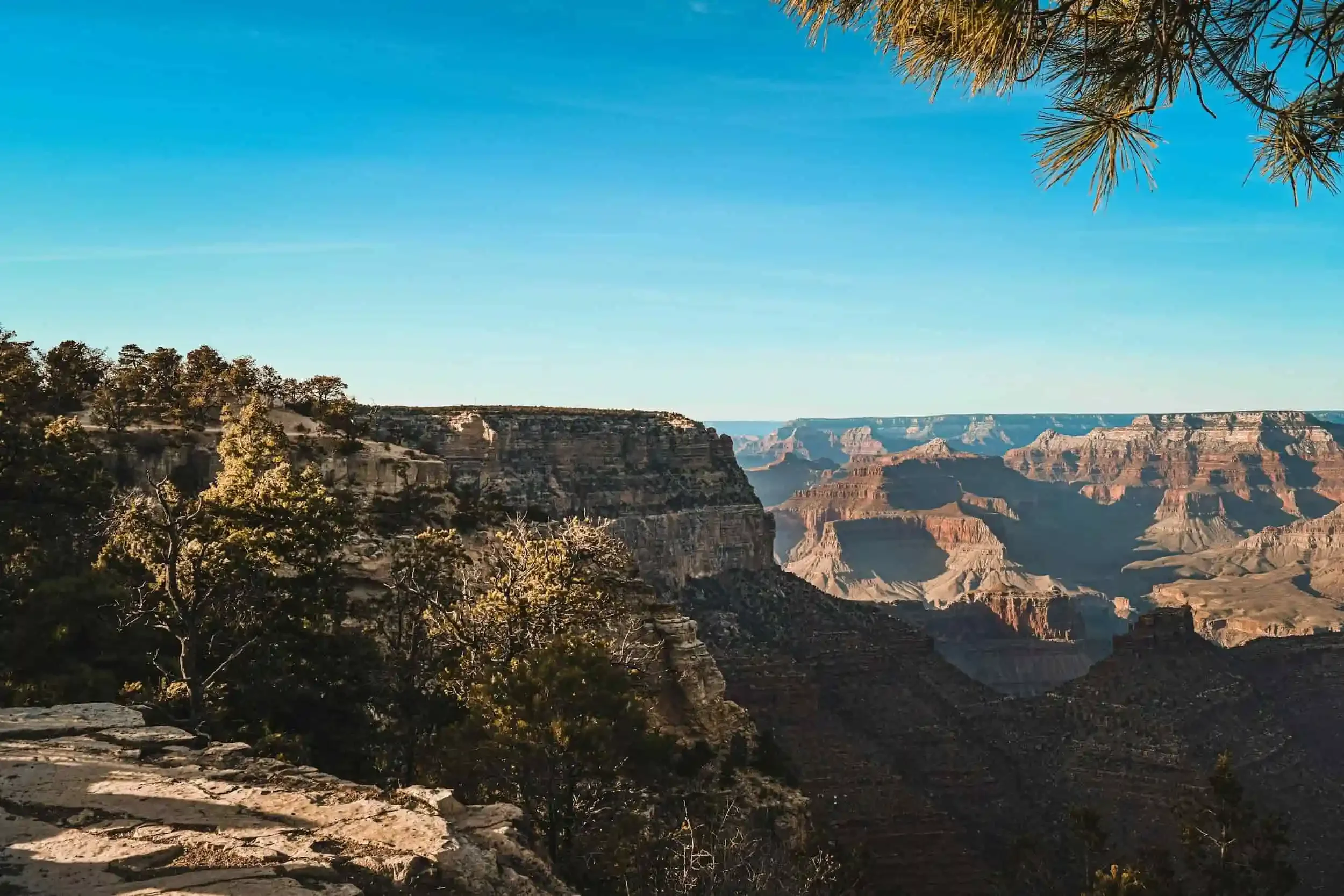 View of the Grand Canyon with rocky cliffs and desert vegetation in the foreground, blue sky above.