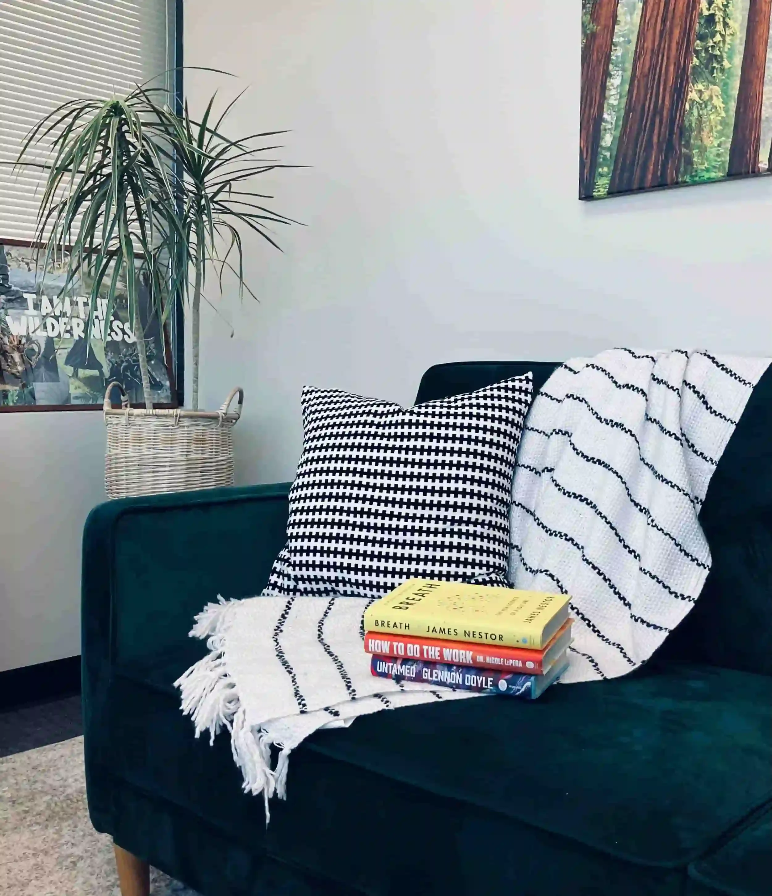 A blue velvet armchair with a black and white checkered pillow, a white blanket with black stripes, and three books resting on it. In the background, a window with closed blinds, a framed poster, and a potted plant with long, thin leaves in a basket.