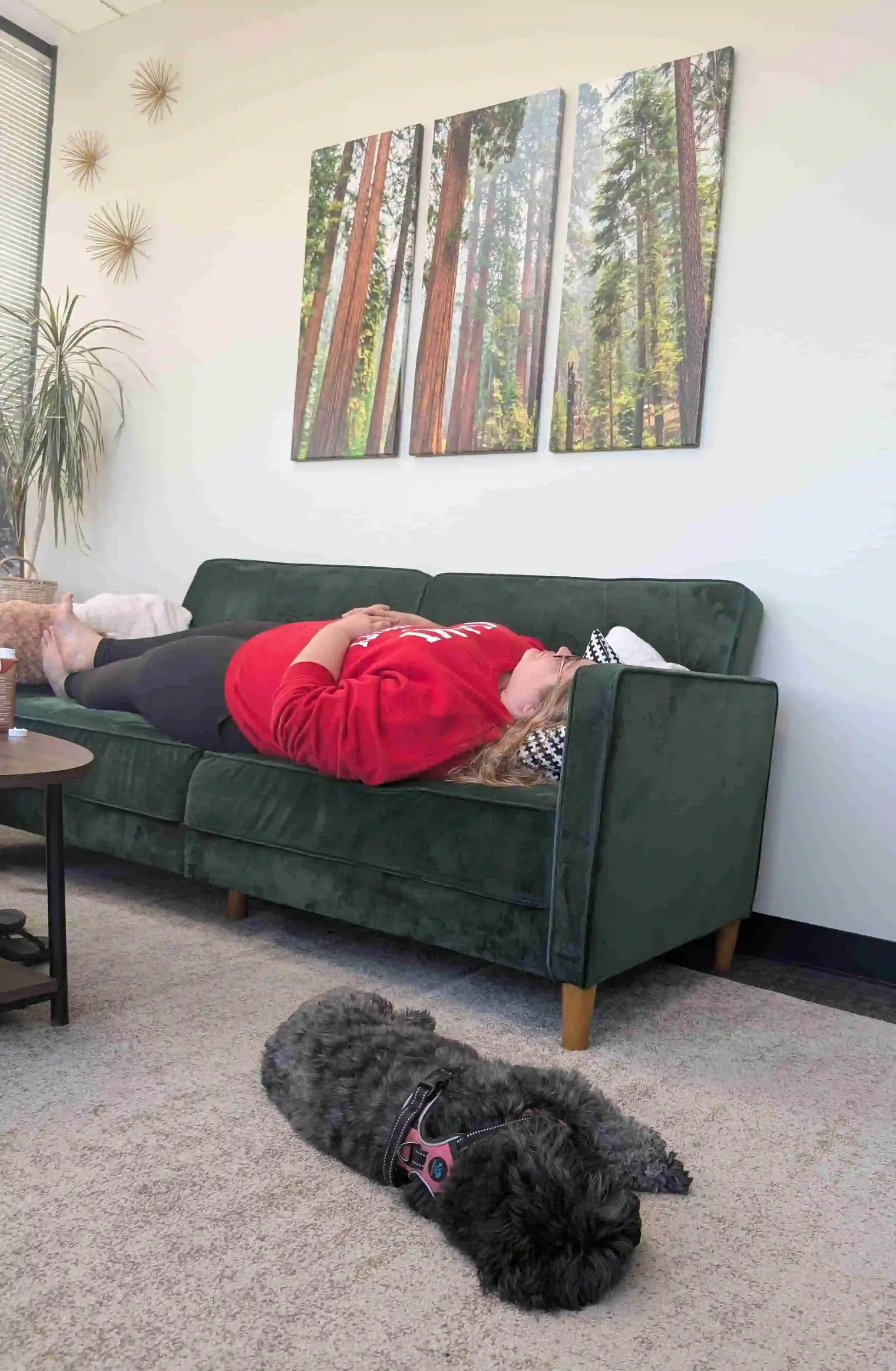 A person in a red sweatshirt lies on a green couch with their hands on their stomach. A black dog lies on the floor nearby. Behind the couch is a wall with three vertical forest-themed paintings.