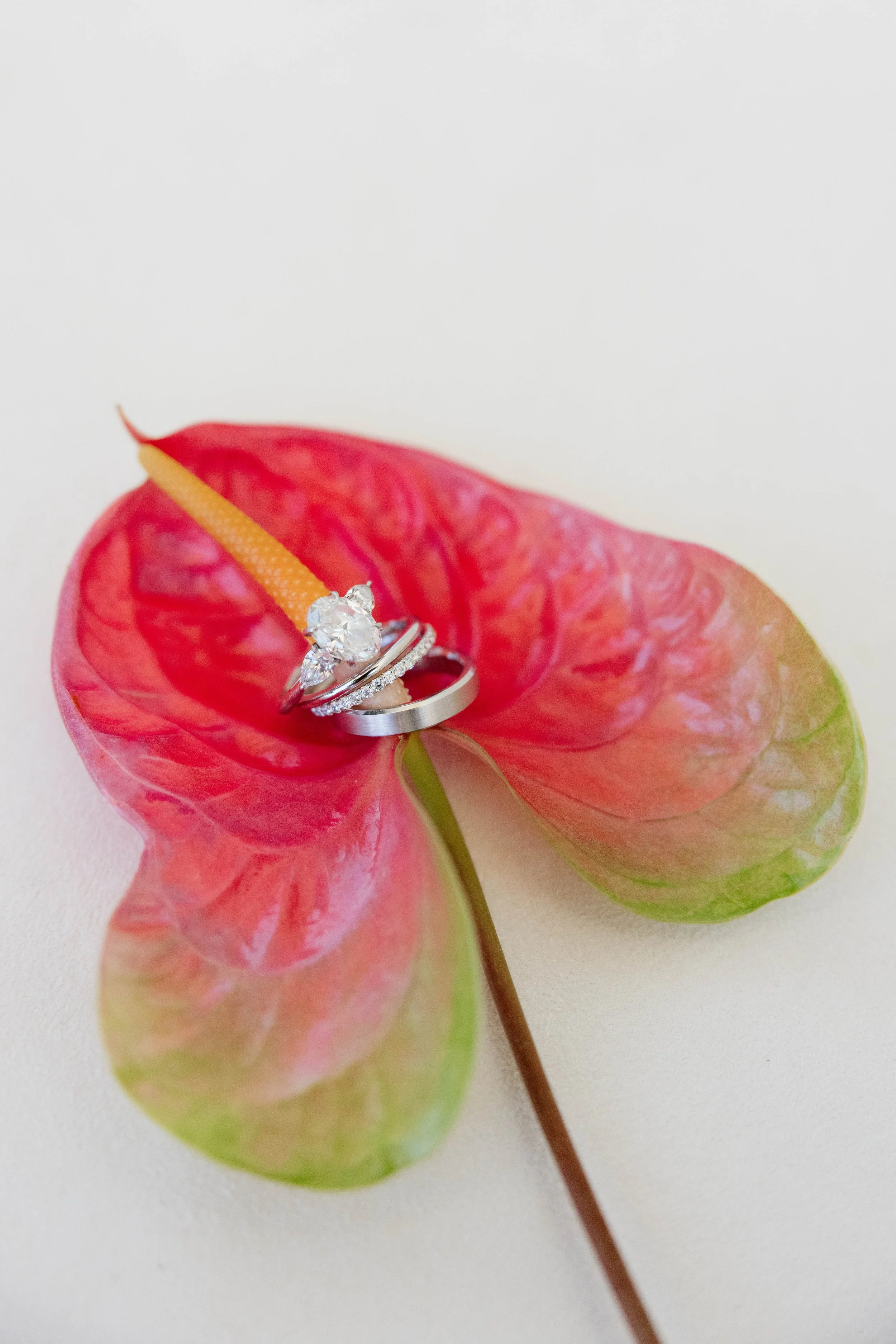 Wedding details with florals at the Hyatt Regency Coconut Point Resort and Spa by Naples Wedding Photographer