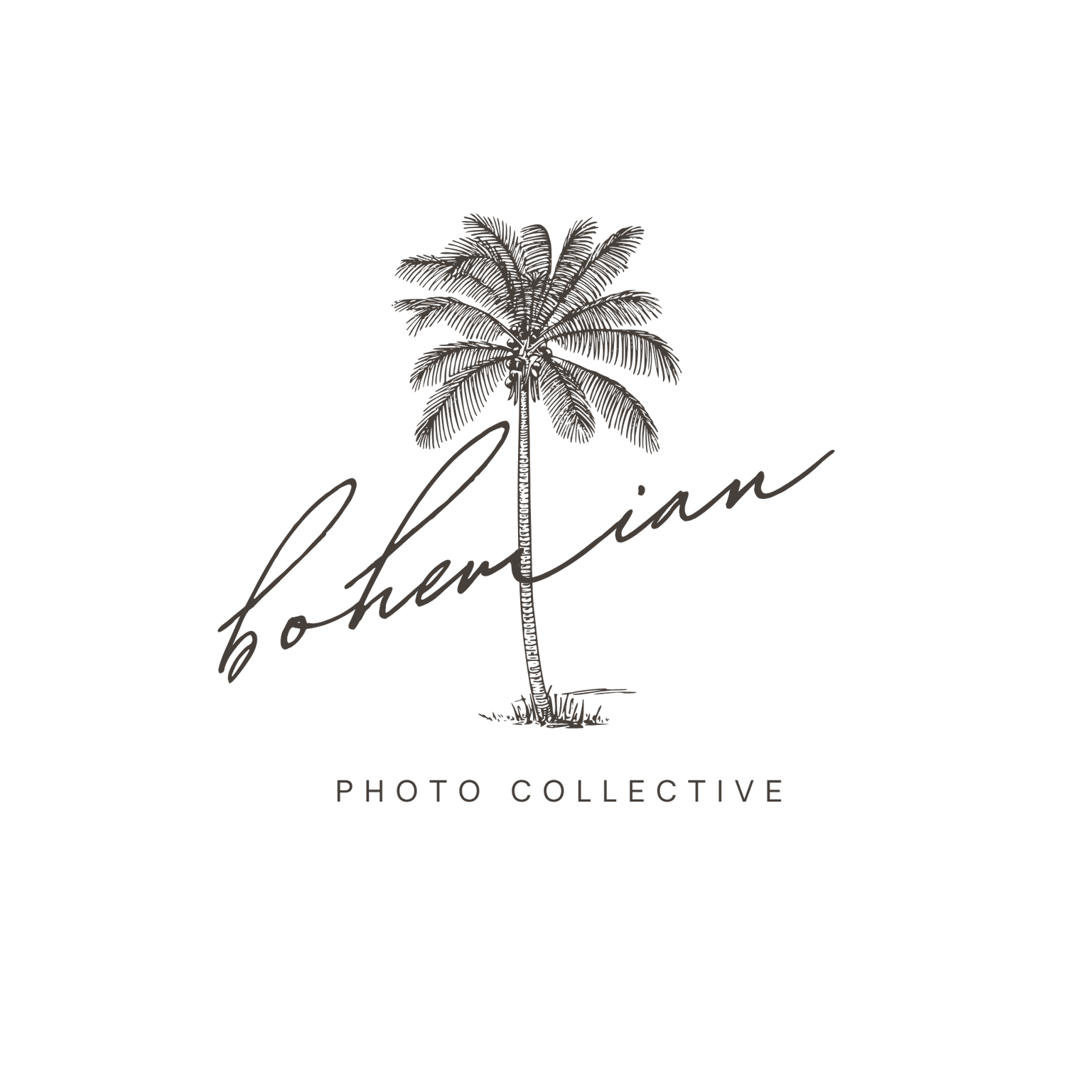 Wedding Photography Tampa 