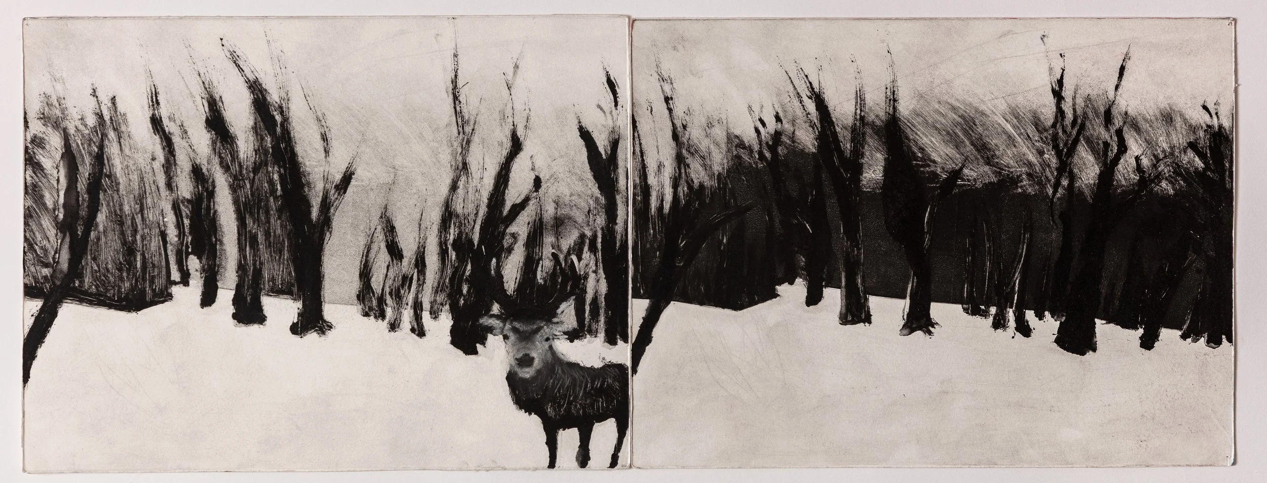 Snow Day at Home, 2025