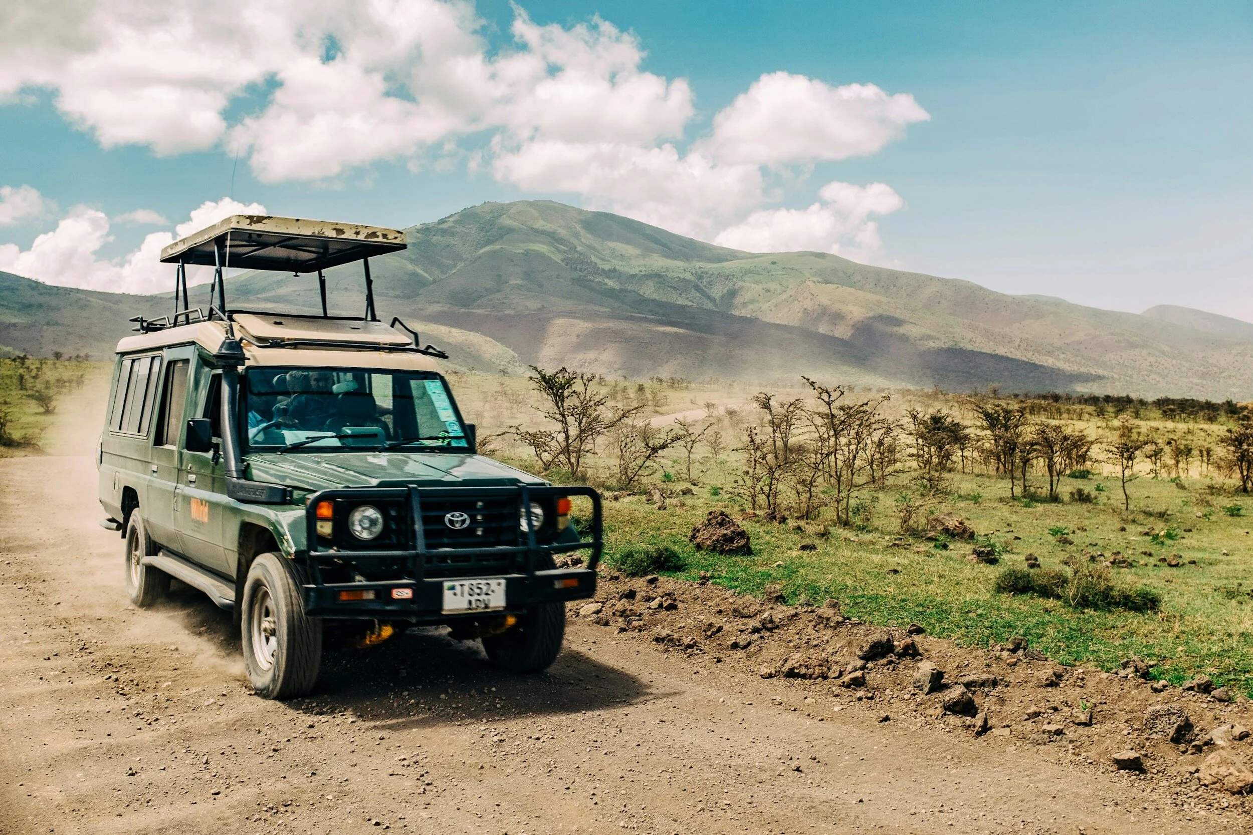 Ultimate Safari Planning Guide: Expert Answers to Your Most Common Questions