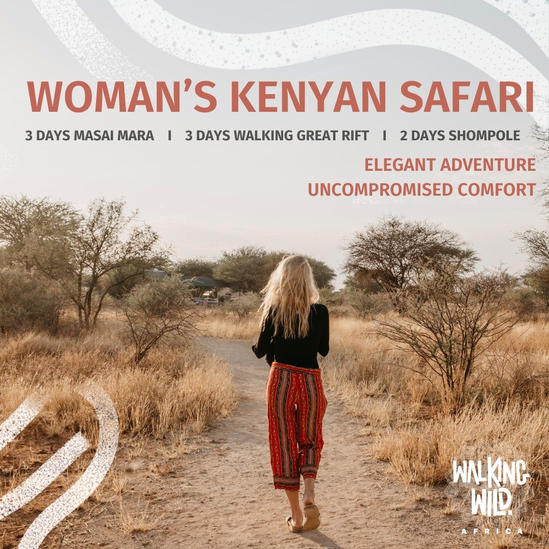 In need of a break from your busy day to day life? 🙋&zwj;♀️
Time to re-connect with nature and yourself with an all inclusive hosted adventure to Kenya. 🌿🐘

Join other like minded-women to experience the incredible wildlife, inspirational people a