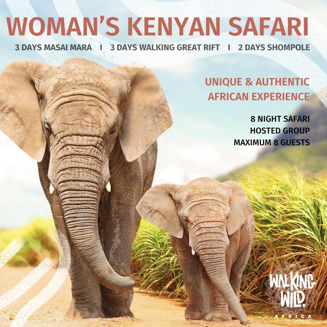 In need of a break from your busy day to day life? 🙋&zwj;♀️
Time to re-connect with nature and yourself with an all-inclusive hosted adventure to Kenya. 🌿🐘

Join a group of like minded-women to experience the incredible wildlife, inspirational peo