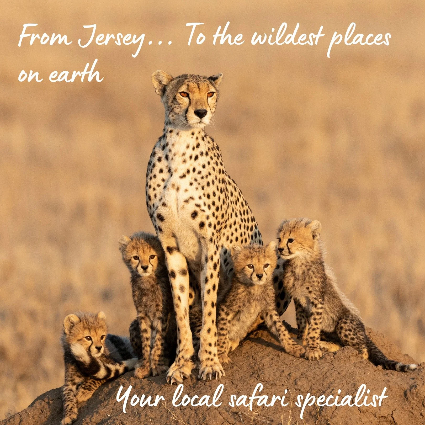 From Jersey to the wildest places on earth...this is where your safari begins 🐘✨
I'm a Jersey based safari expert offering truly personal, one-to-one planning. Whether it's your first safari, a honeymoon, multi-generational trip or a return with a d