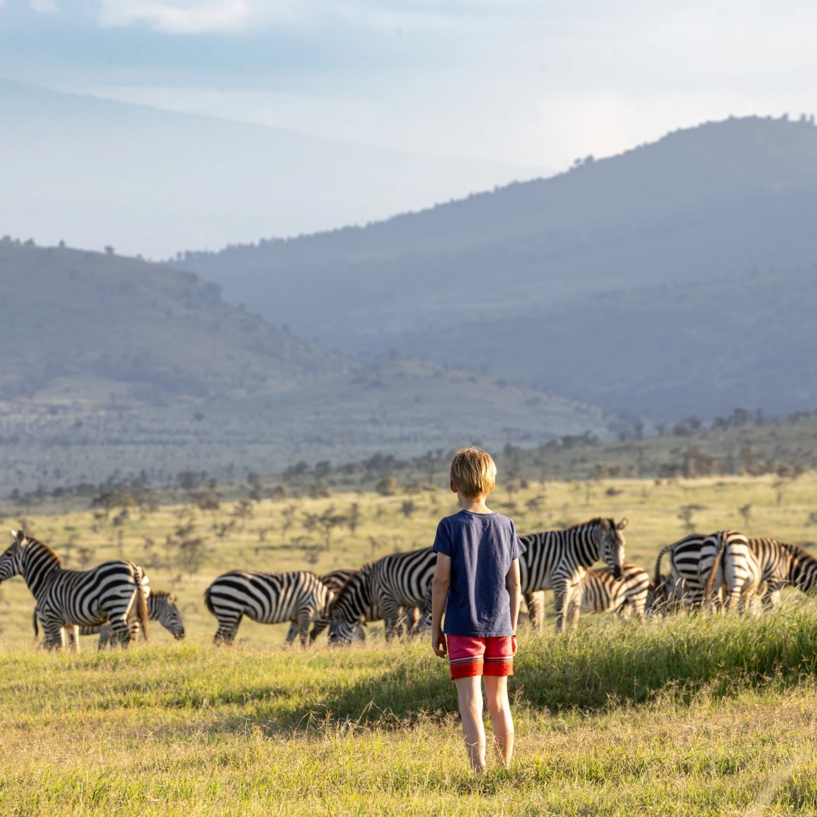 🦁Safari doesn't have to mean expensive to be unforgettable... 
If you're looking for a family-friendly safari in Kenya that's immersive, meaningful and genuinely different then Moon's Camp at  @safari_series_lolldaiga is one of my new favourite find
