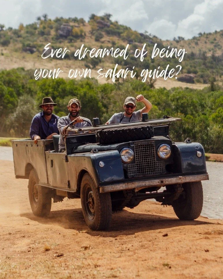 Want to be your own safari guide for the day? 🚙🌿
At Moon's Camp you can be.. 

Guest have the incredibly unique opportunity to get behind the wheel of a vintage Series I, II or III Land Rover and head for the hills! 
With an expert guide alongside 