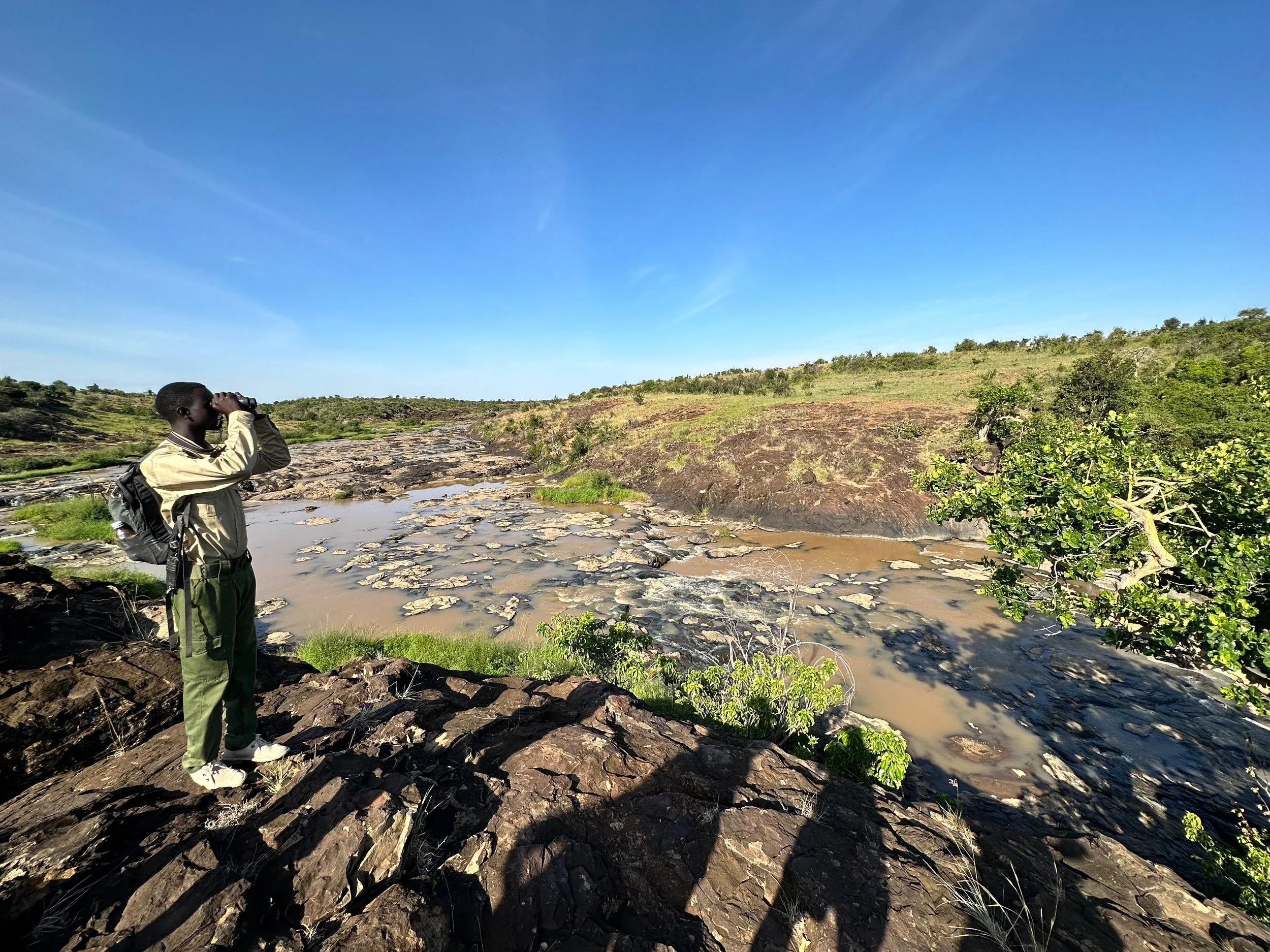 Walking With Wildlife: The Eco-friendly Way to Safari