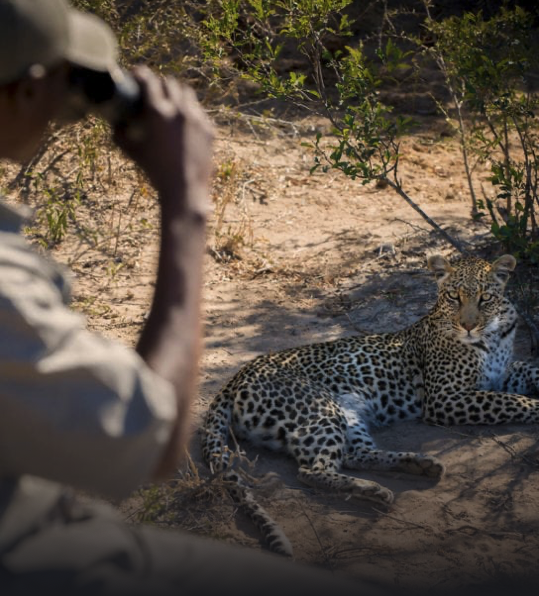 Screenshot 2024-06-05 at 13.38.06.png