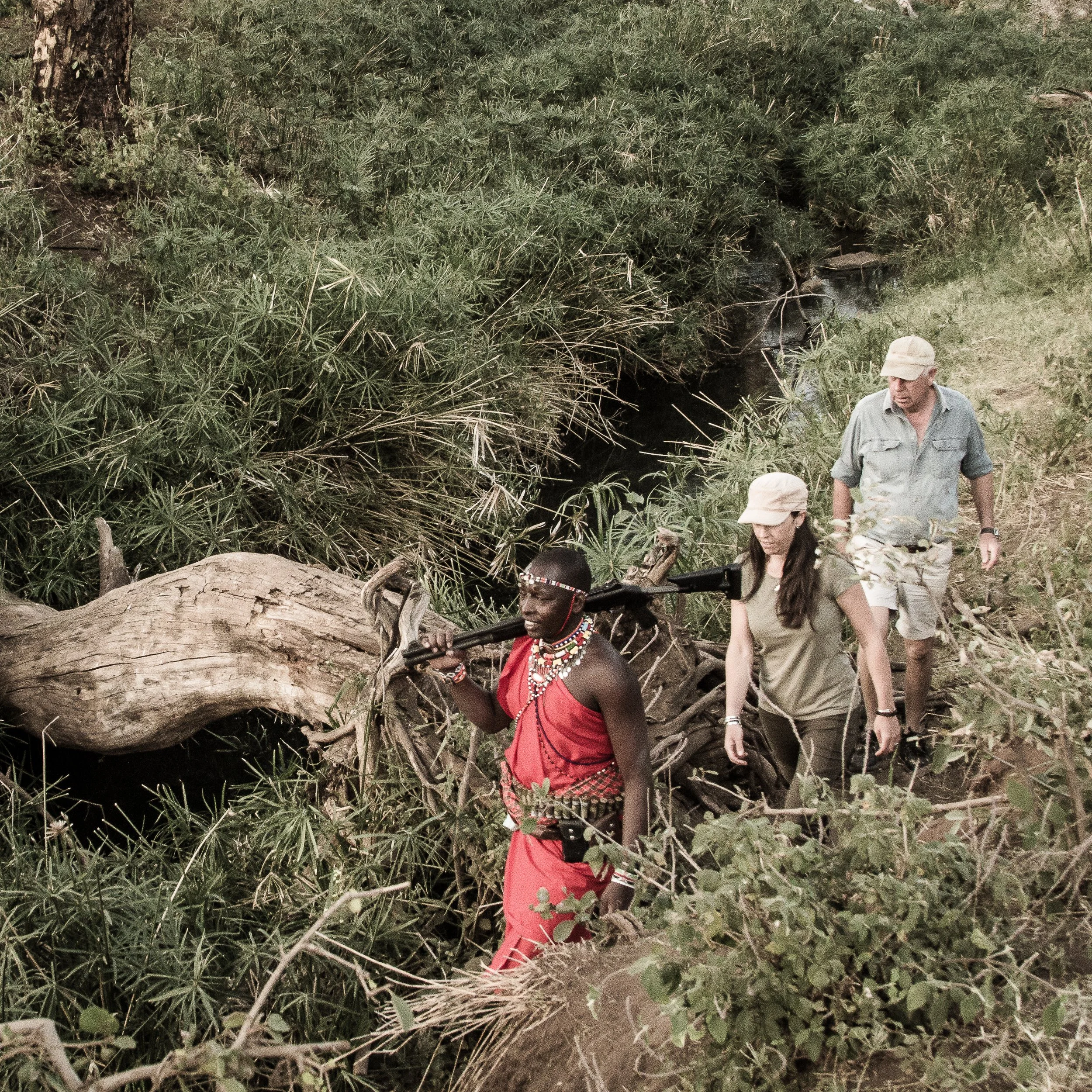 Walking Safaris in Lewa Conservancy
