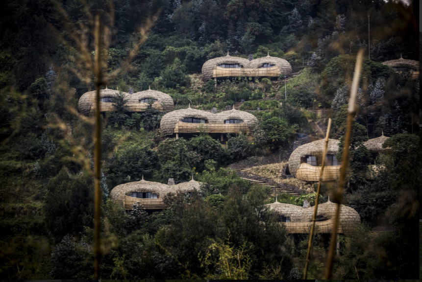 Image of exterior view of rooms at Bisate lodge which look like a gorillas nest 