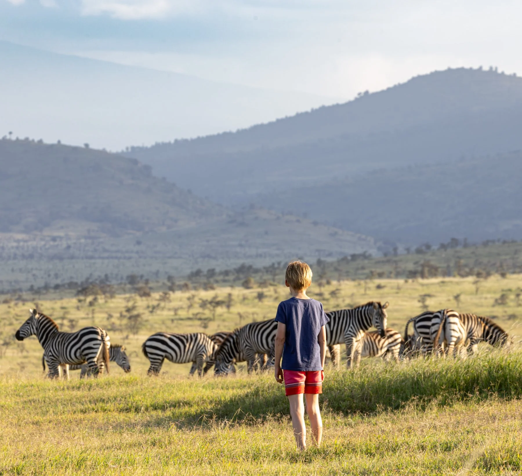 Why Family Safaris Are the Ultimate Multi-Generational Adventure