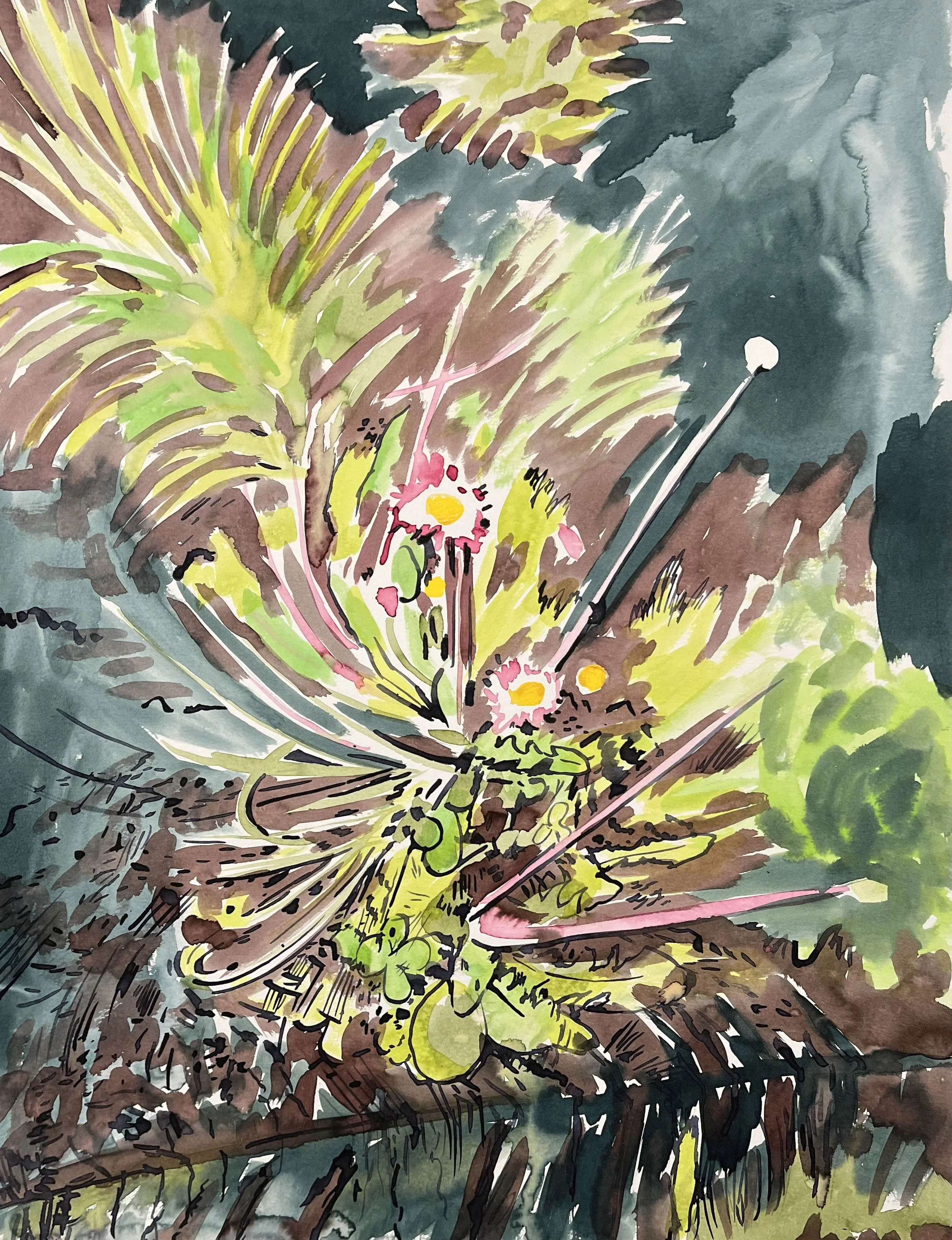 Sidewalk Dandelion , 24”x 18”