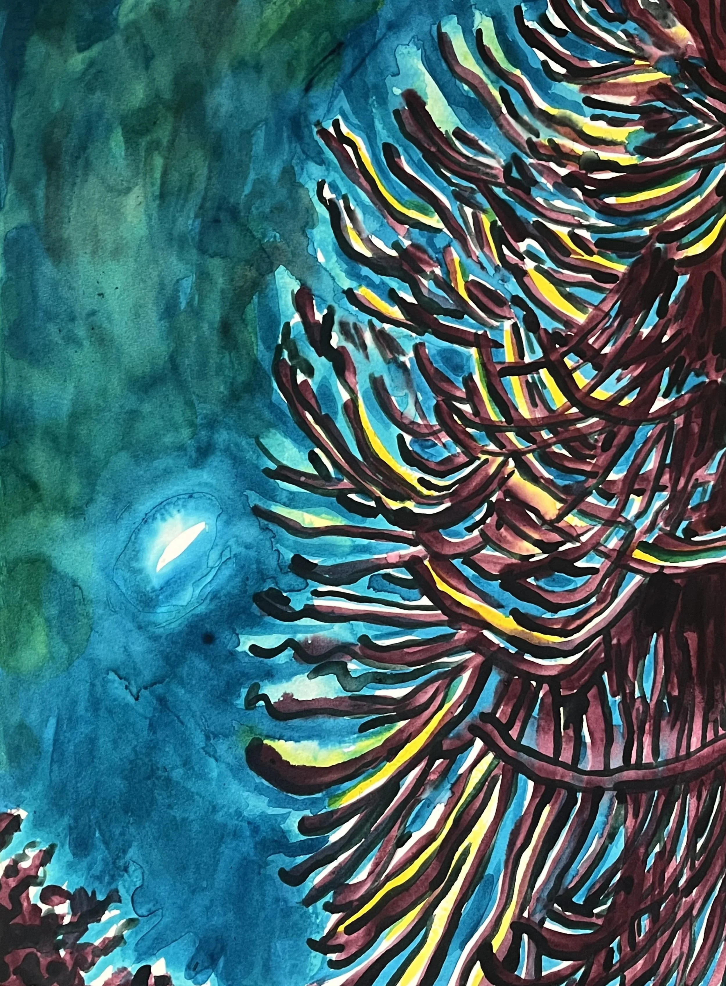 Monkey Tail Tree, 20 x 30, 2025.jpg