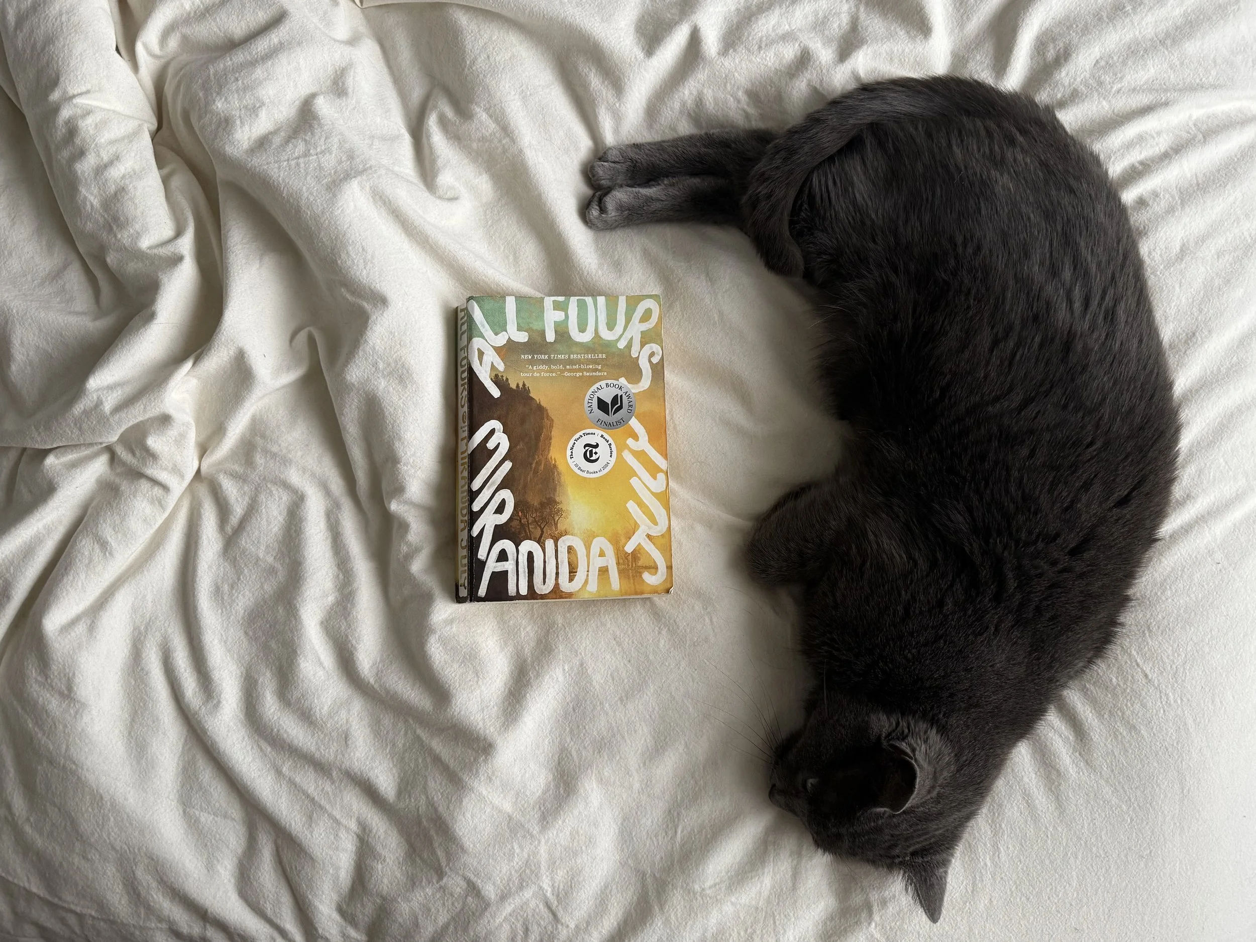 All Fours, Pretentious Thoughts on the Value of an Easily-Digestible Novel with Difficult Content: a book review