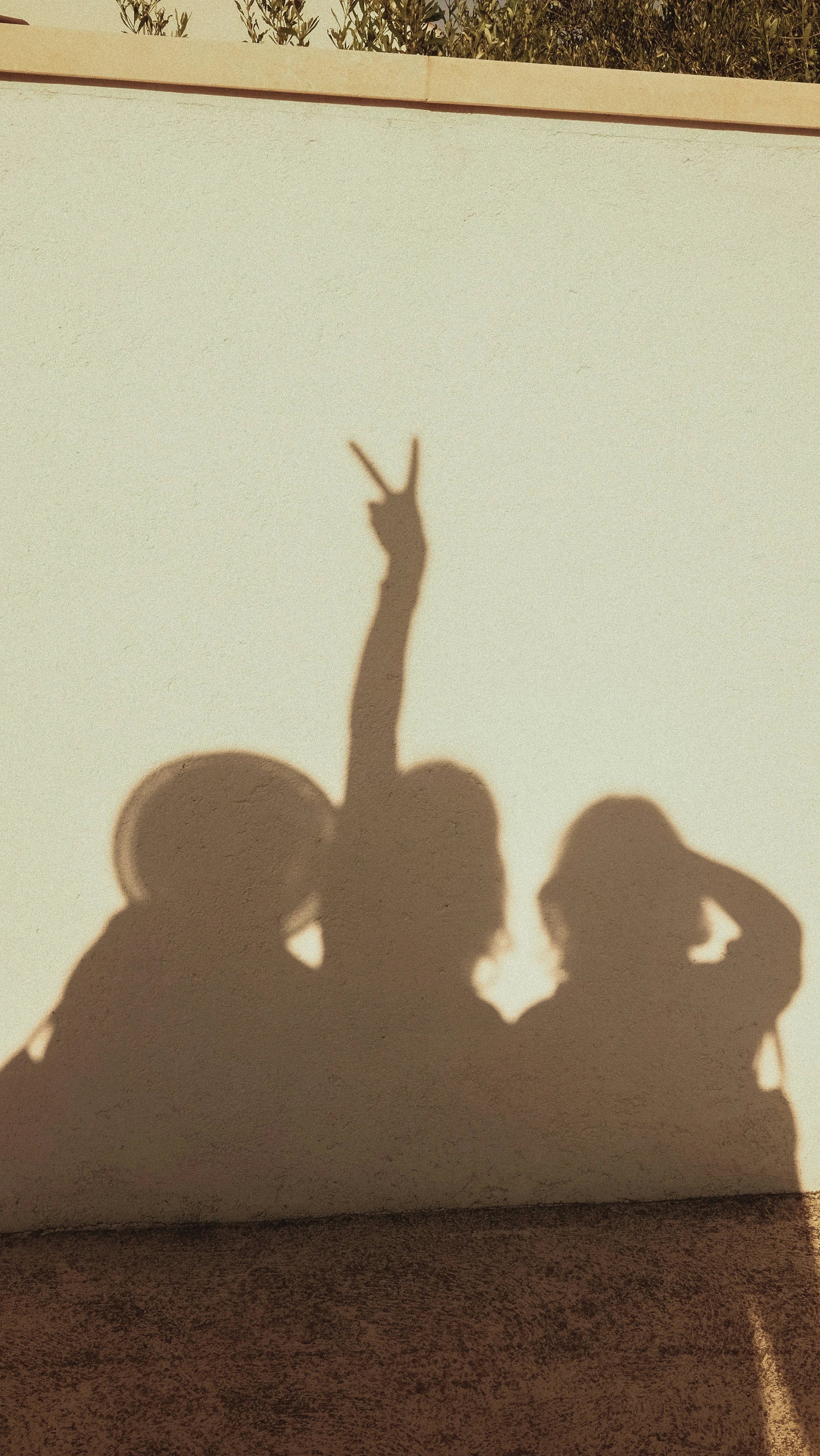 The Sisters, Too Much of a Good Thing is Still Too Much: a book review