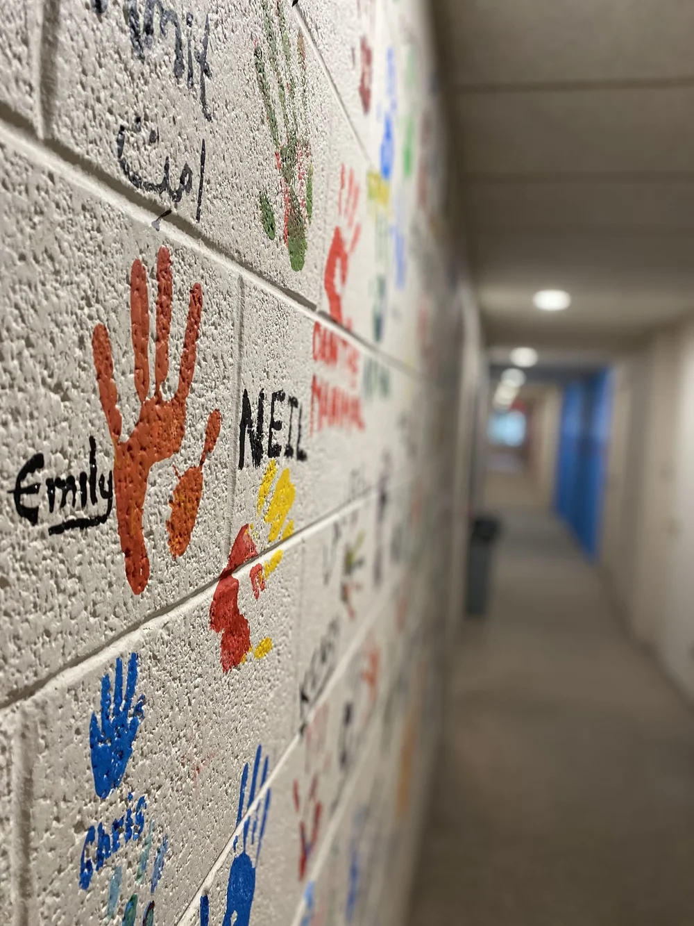 Michigan Branch of Telluride Association