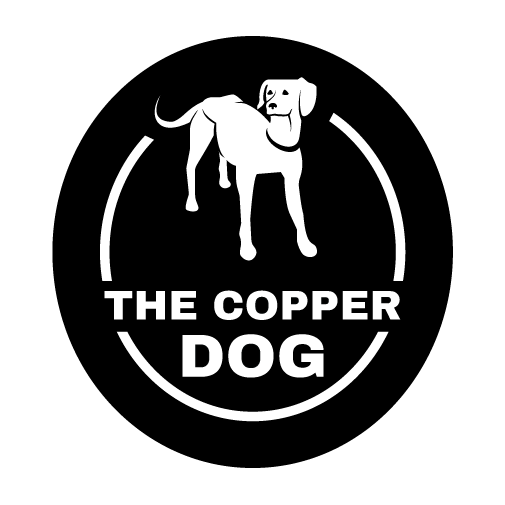 Artboard 1 copy 17.png