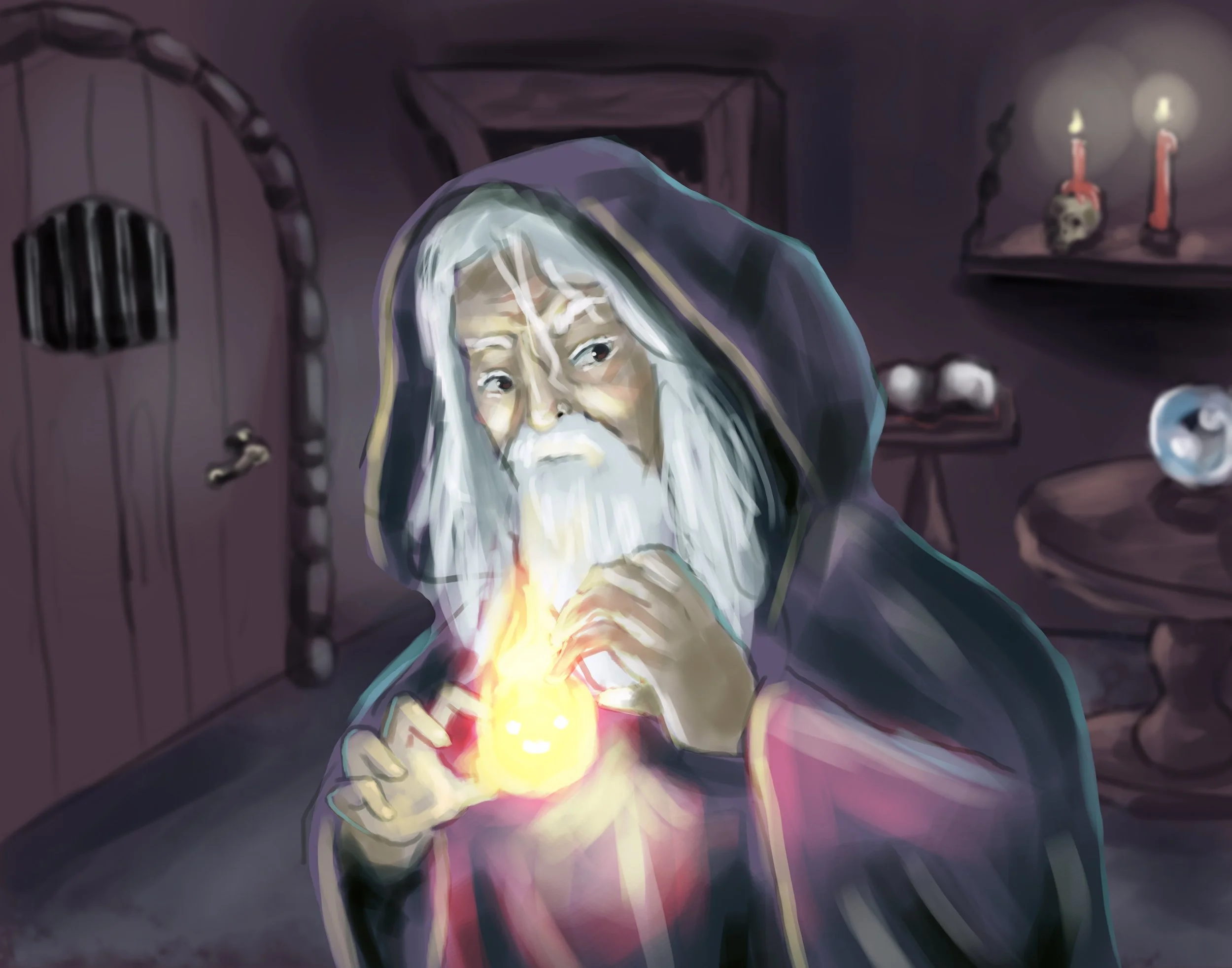 Wise Wizard.jpg