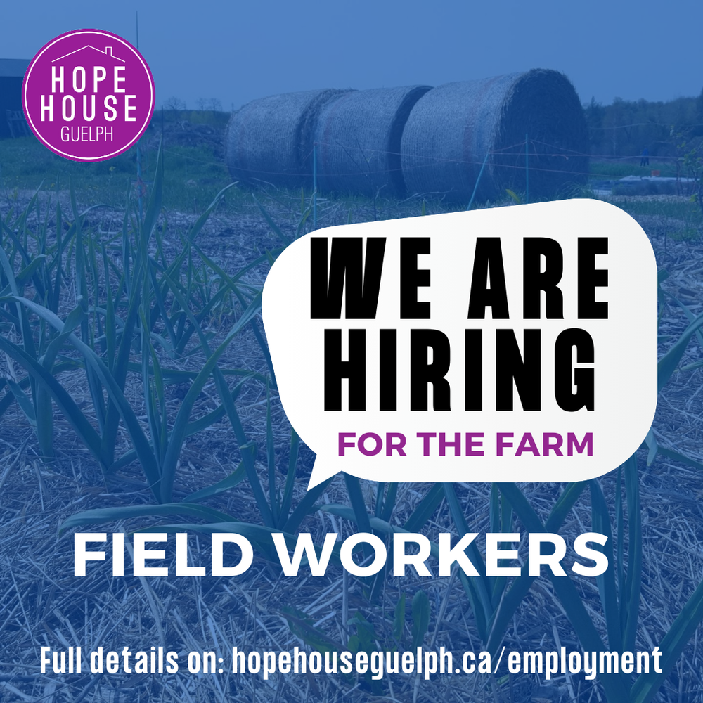 Employment Opportunities — Hope House Guelph