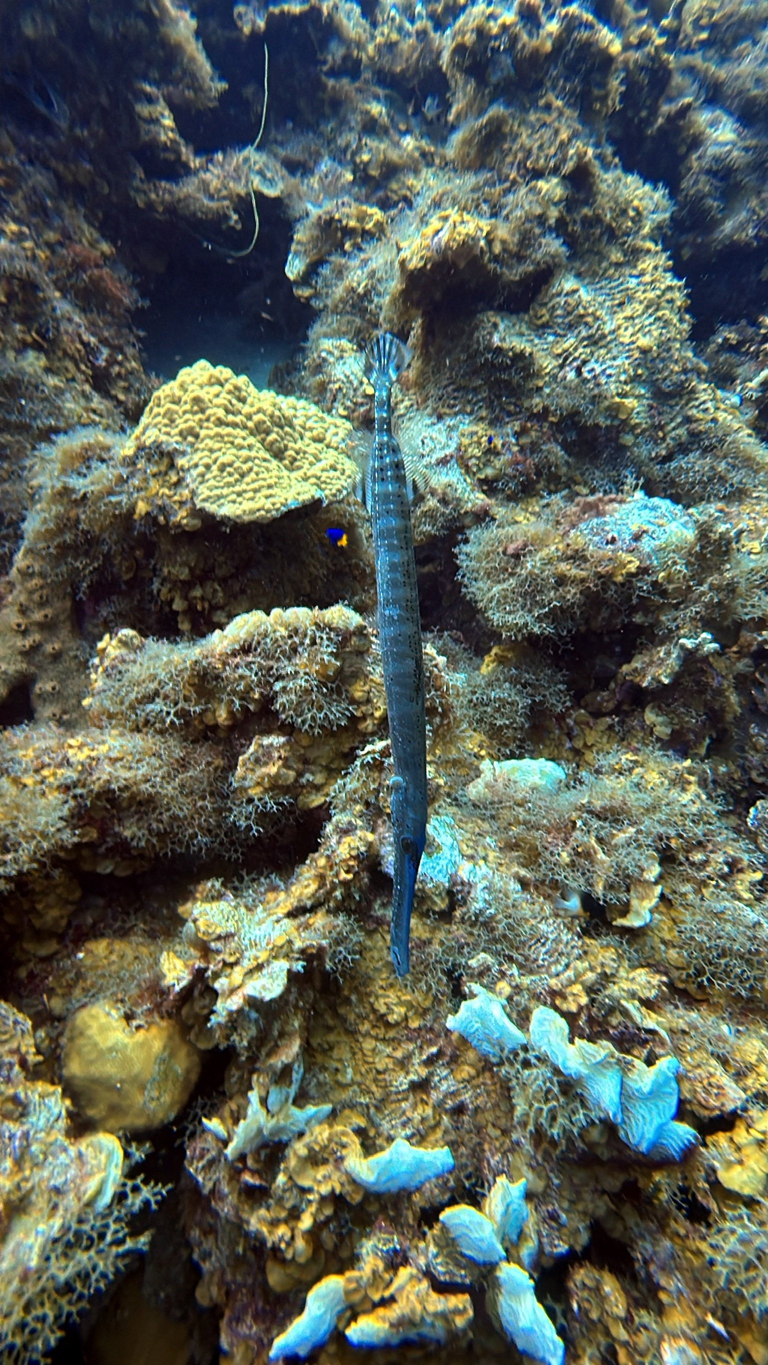 IMG_5879.JPG